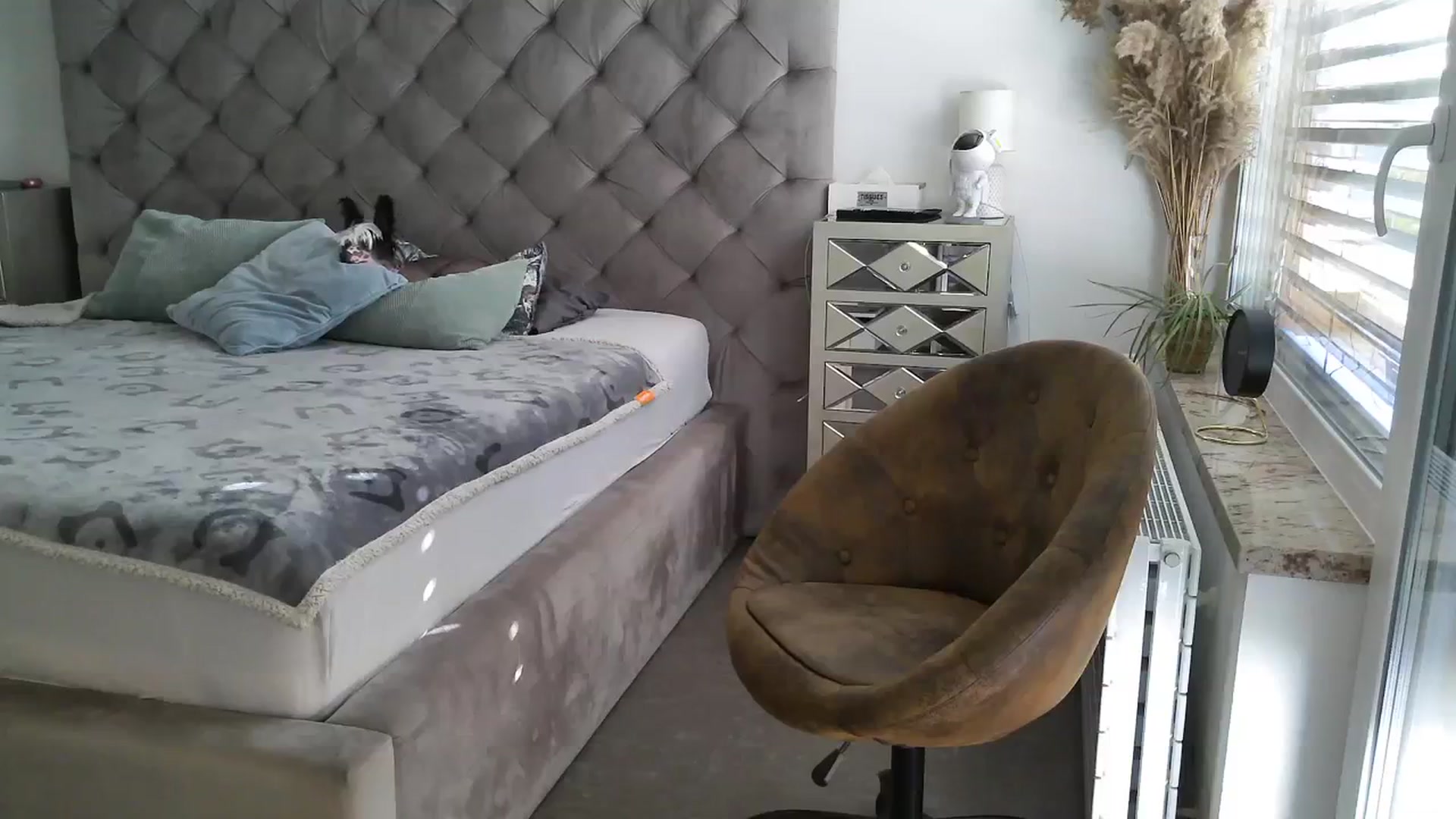 Gallery image thumbnail from CocoMia's myfreecams stream on, 02/20/2024, 13:43 image 6 of 20