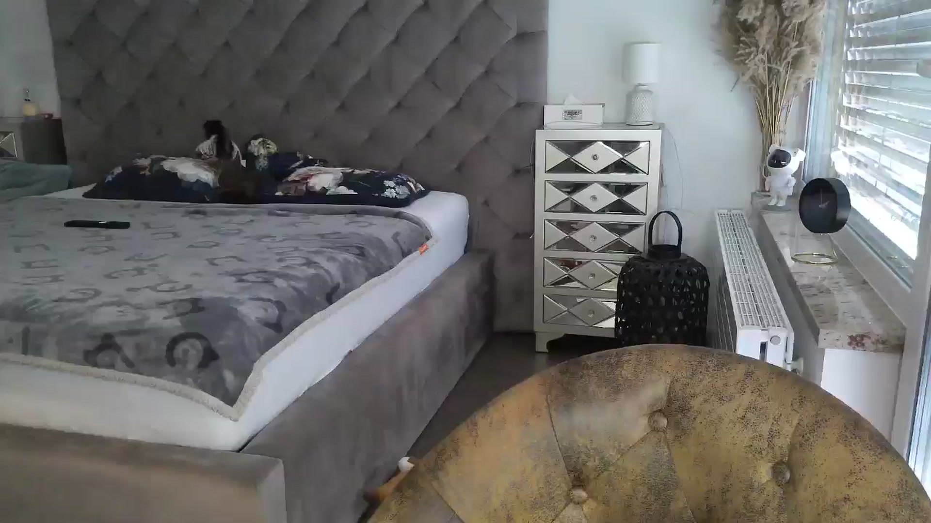 Gallery image thumbnail from CocoMia's myfreecams stream on, 05/03/2024, 12:30 image 16 of 20