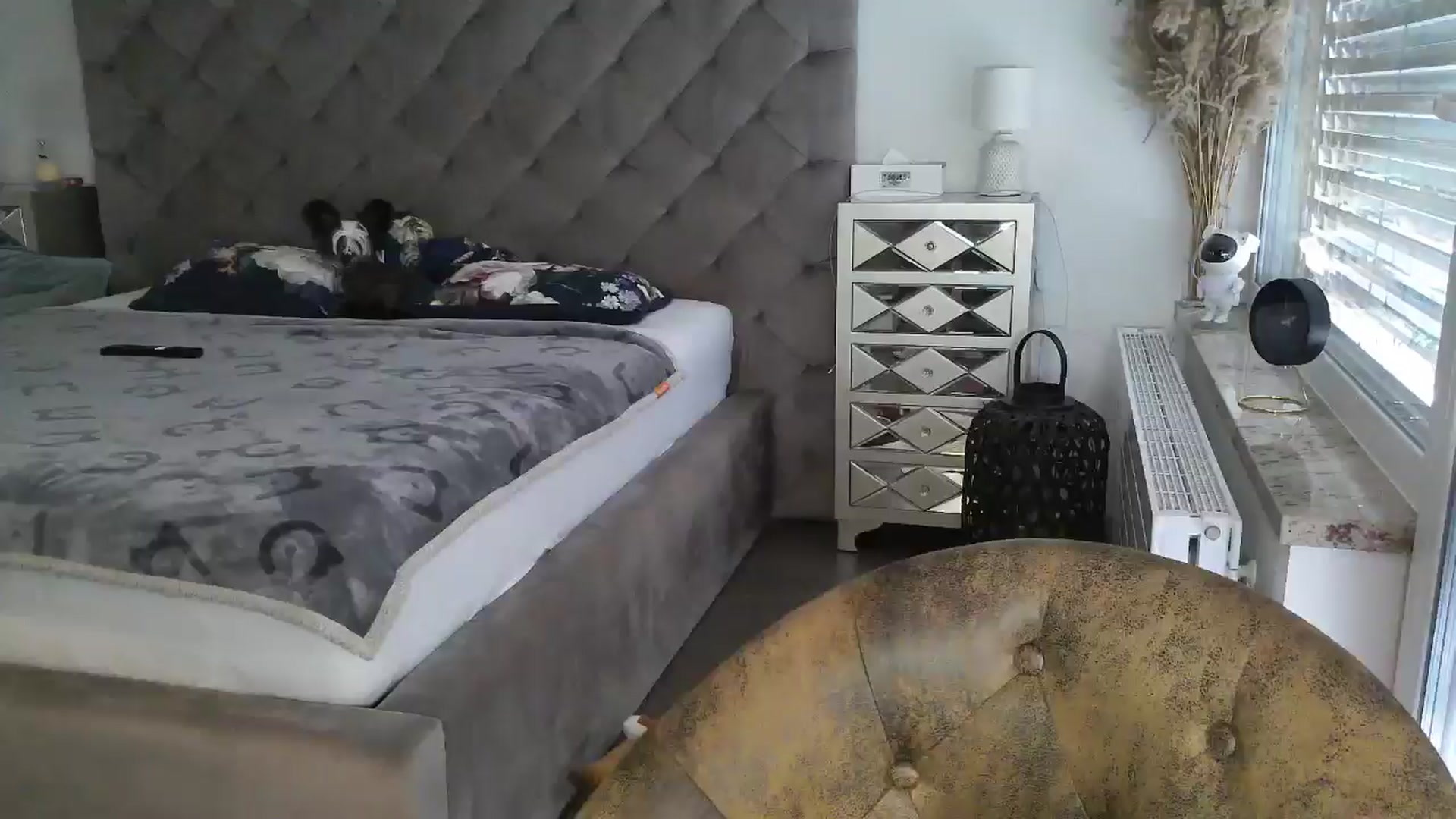 Gallery image thumbnail from CocoMia's myfreecams stream on, 05/03/2024, 12:30 image 17 of 20