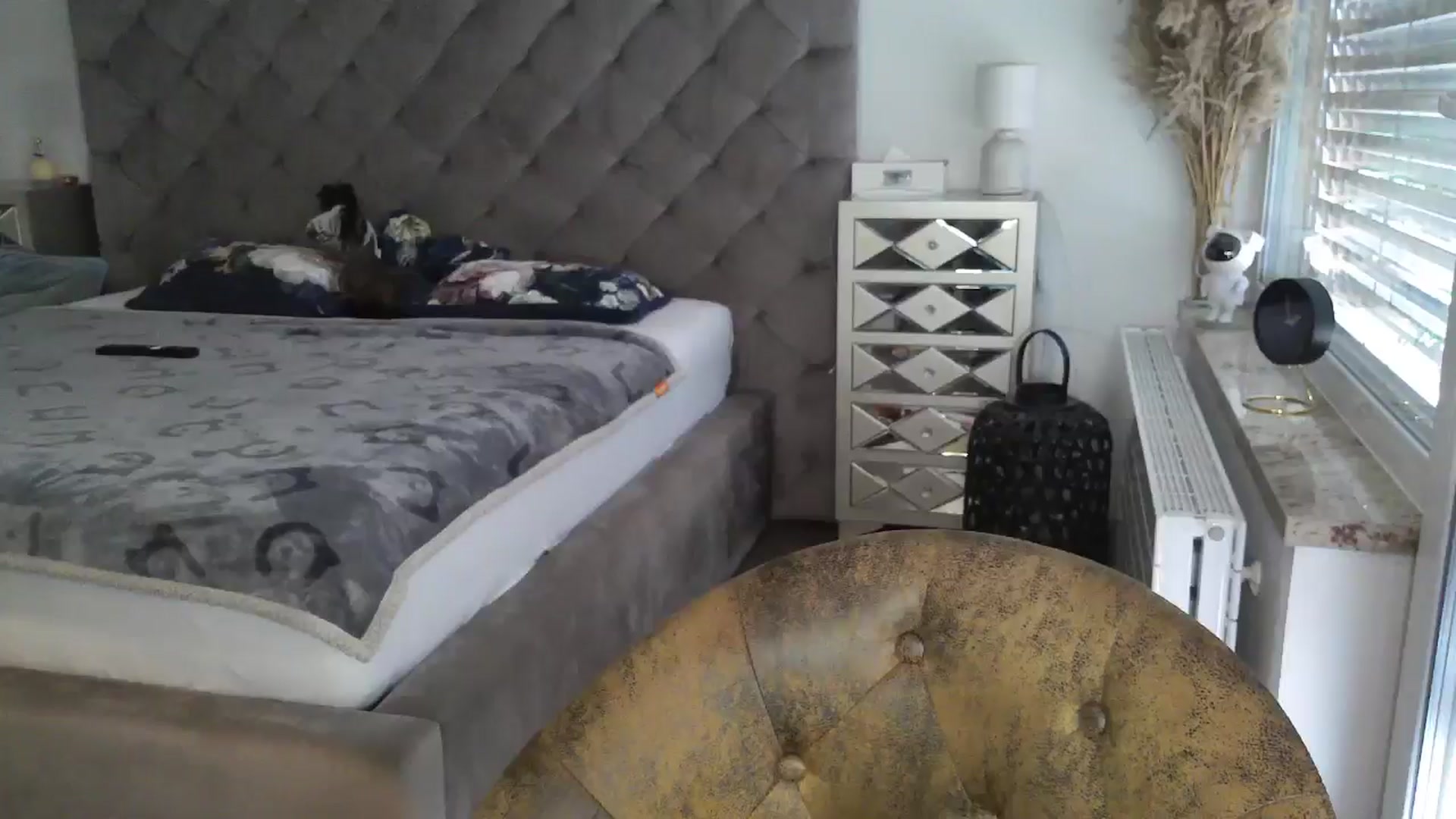 Gallery image thumbnail from CocoMia's myfreecams stream on, 05/03/2024, 12:30 image 15 of 20