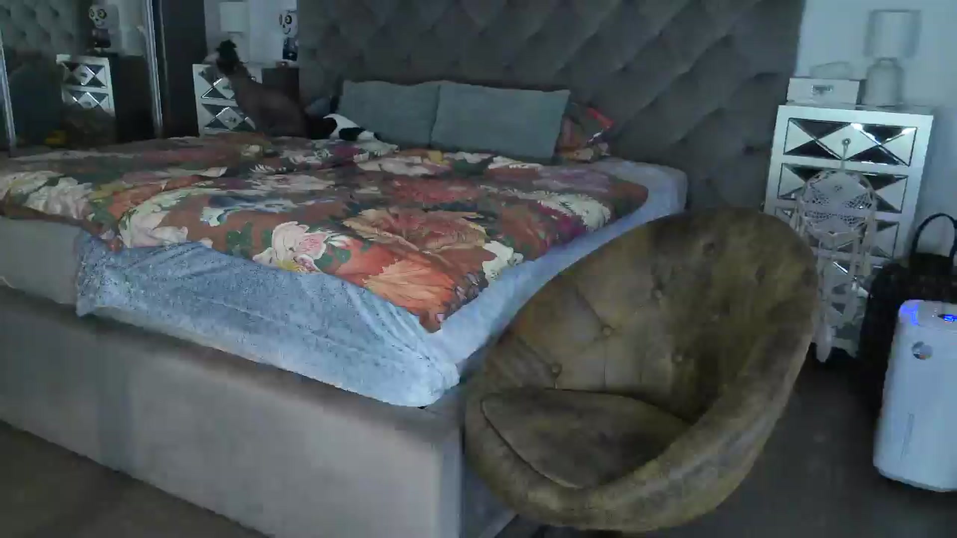 Gallery image thumbnail from CocoMia's myfreecams stream on, 11/14/2024, 09:04 image 7 of 20