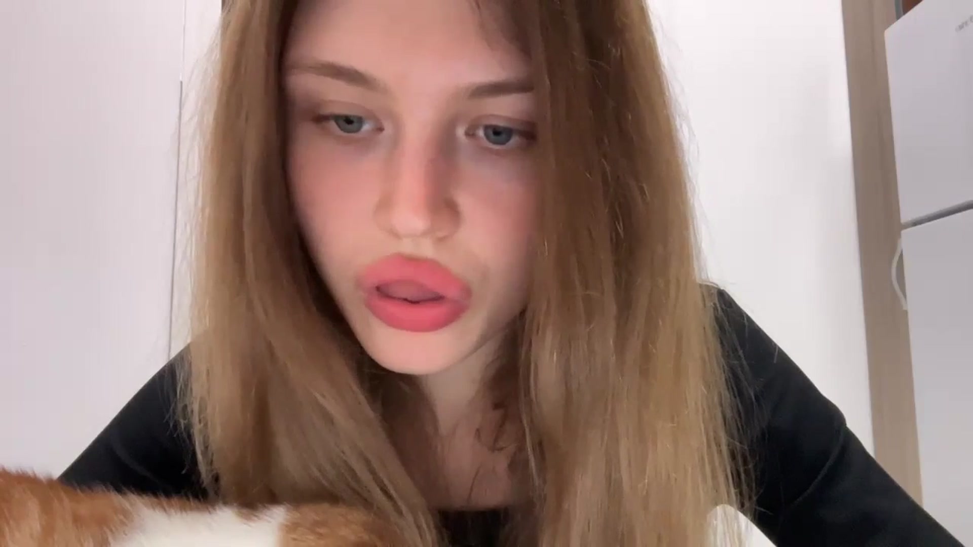 Gallery image thumbnail from Coconut_dream's myfreecams stream on, 08/08/2024, 19:24 image 2 of 20