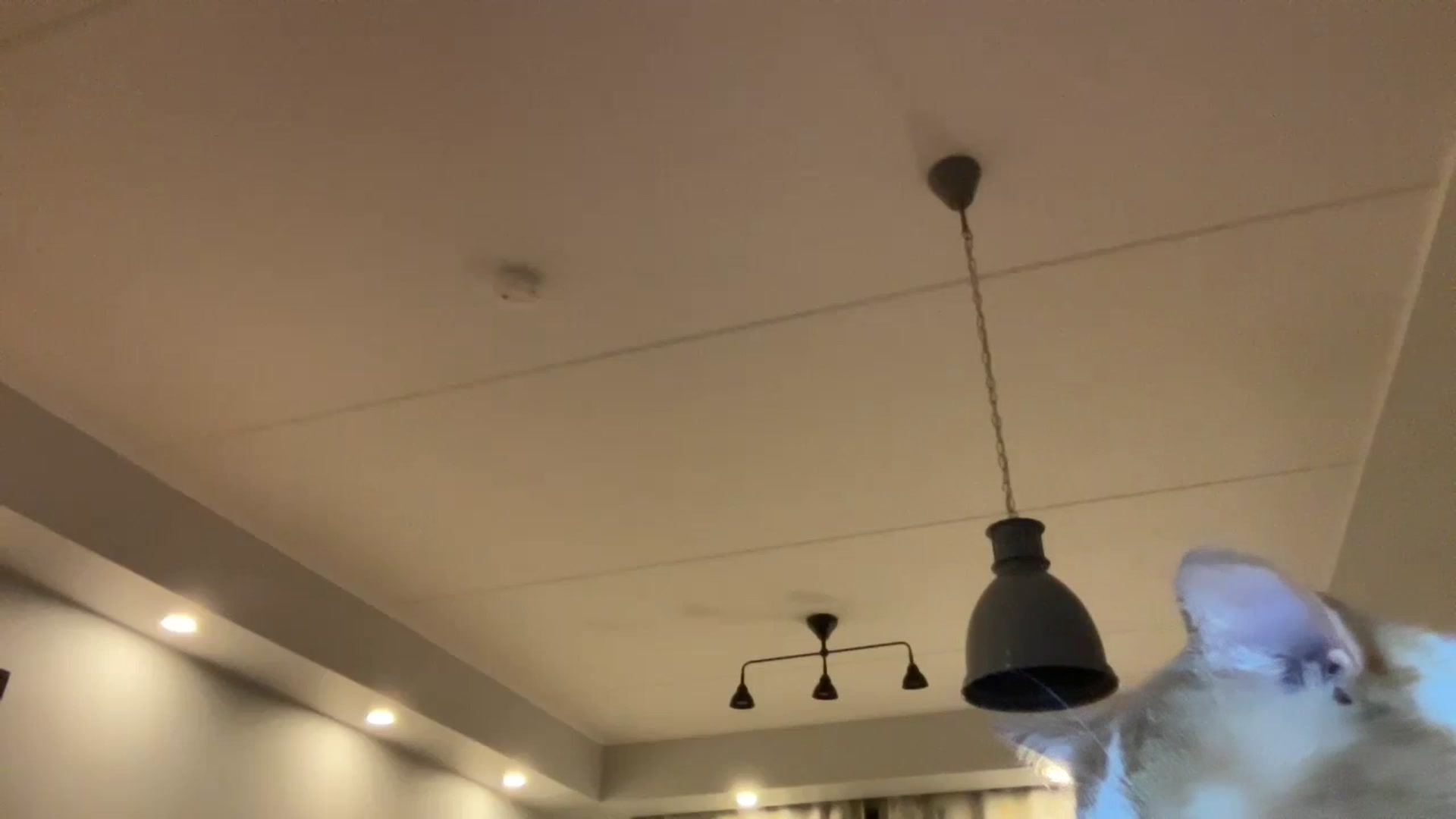 Gallery image thumbnail from Coconut_dream's myfreecams stream on, 10/27/2024, 16:04 image 7 of 20
