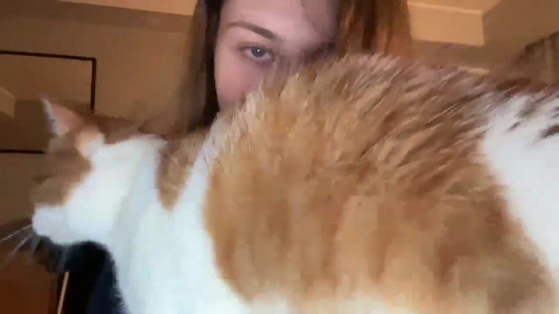 Gallery image thumbnail from Coconut_dream's myfreecams stream on, 02/25/2025, 16:43 image 8 of 20