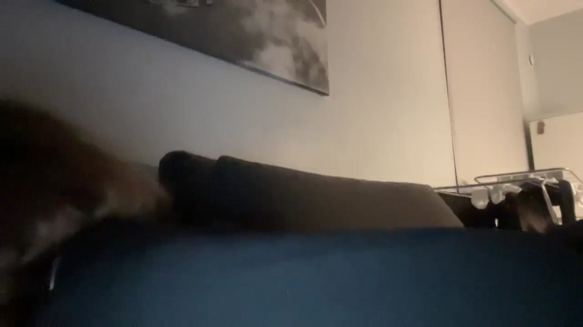 Gallery image thumbnail from Coconut_dream's myfreecams stream on, 06/23/2025, 23:03 image 17 of 20