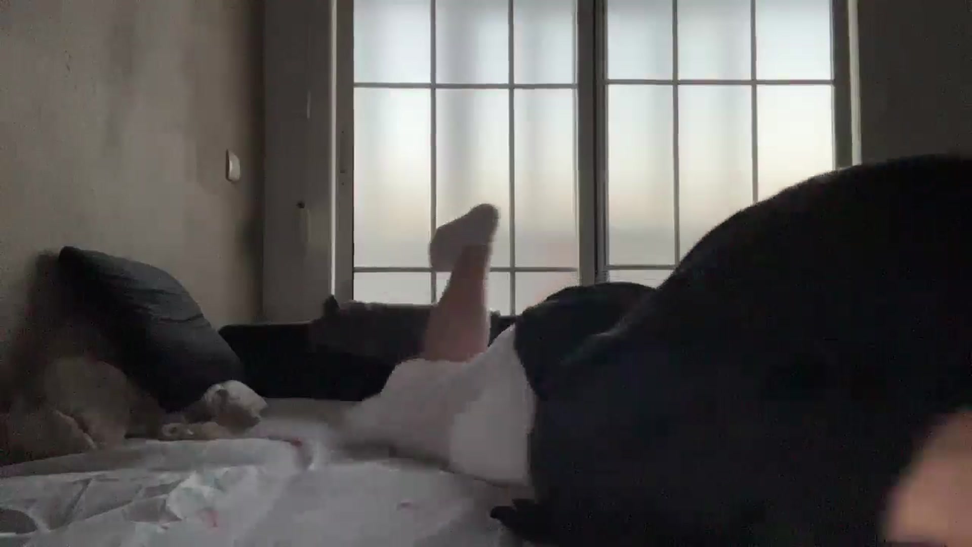 Gallery image thumbnail from Coconut_dream's myfreecams stream on, 09/23/2025, 18:26 image 6 of 20