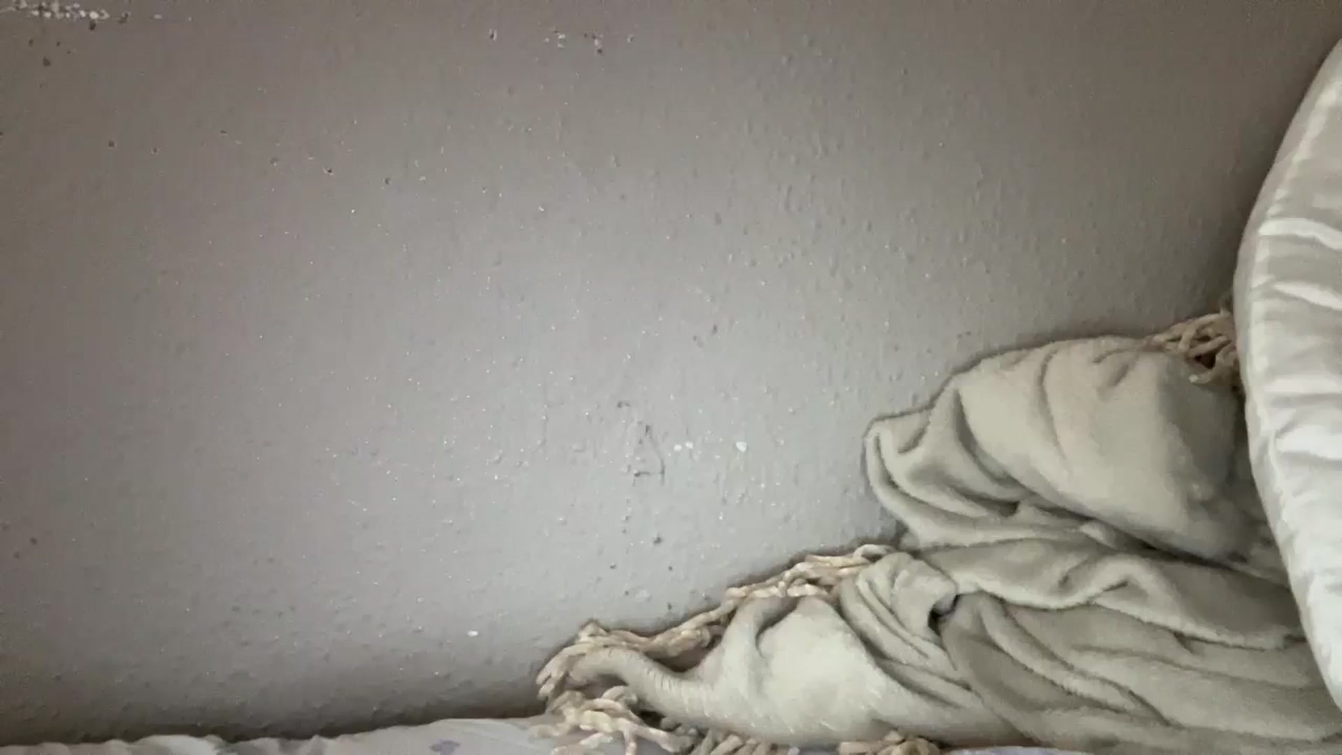 Gallery image thumbnail from Coconut_dream's myfreecams stream on, 09/25/2025, 20:44 image 10 of 20