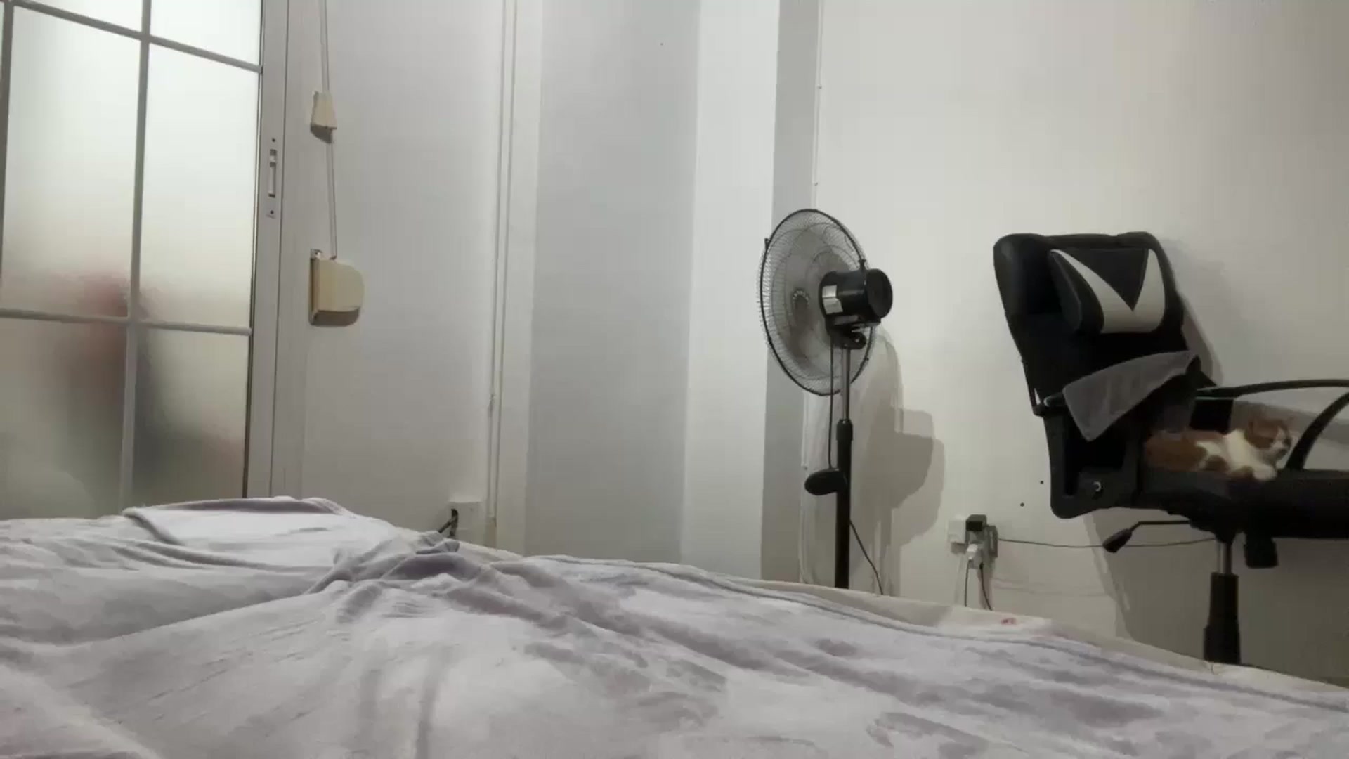 Gallery image thumbnail from Coconut_dream's myfreecams stream on, 10/09/2025, 09:02 image 1 of 20