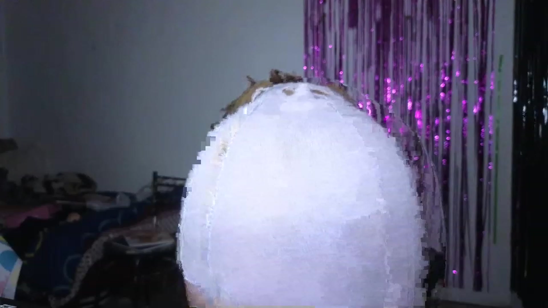 Gallery image thumbnail from Cofewithmilk's myfreecams stream on, 04/23/2023, 03:52 image 16 of 20