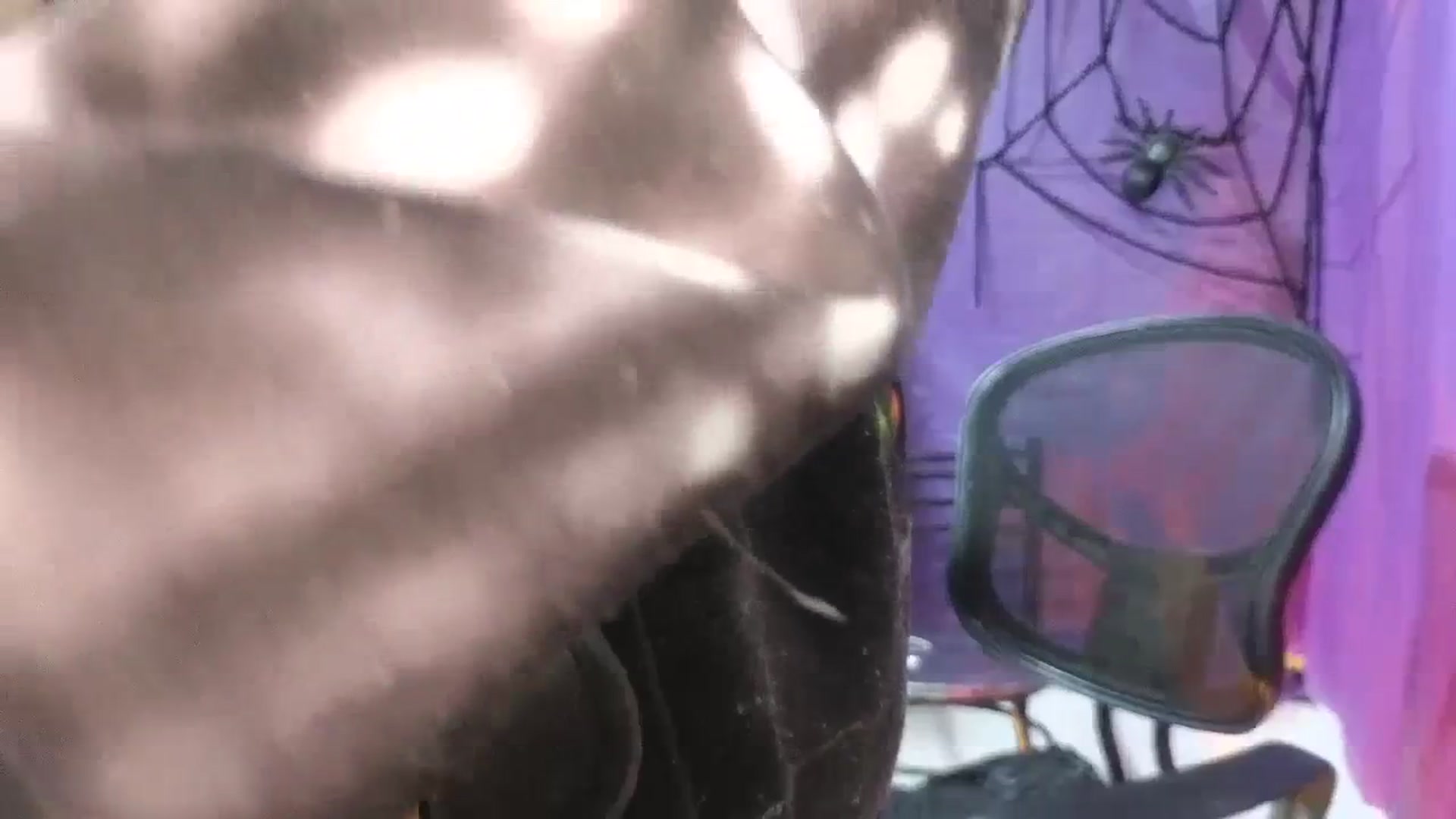 Gallery image thumbnail from Cofewithmilk's myfreecams stream on, 10/14/2023, 16:23 image 18 of 20
