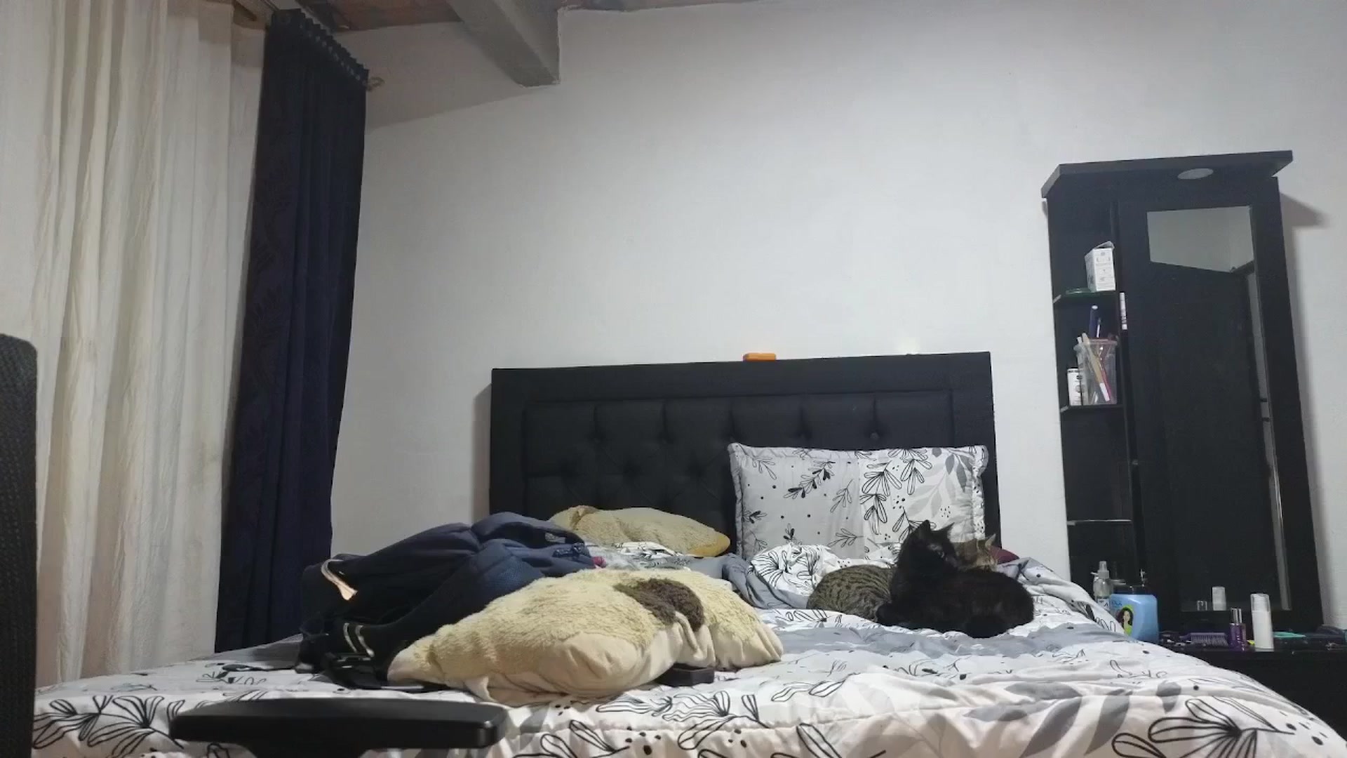 Gallery image thumbnail from Cofewithmilk's myfreecams stream on, 06/01/2025, 06:14 image 7 of 20