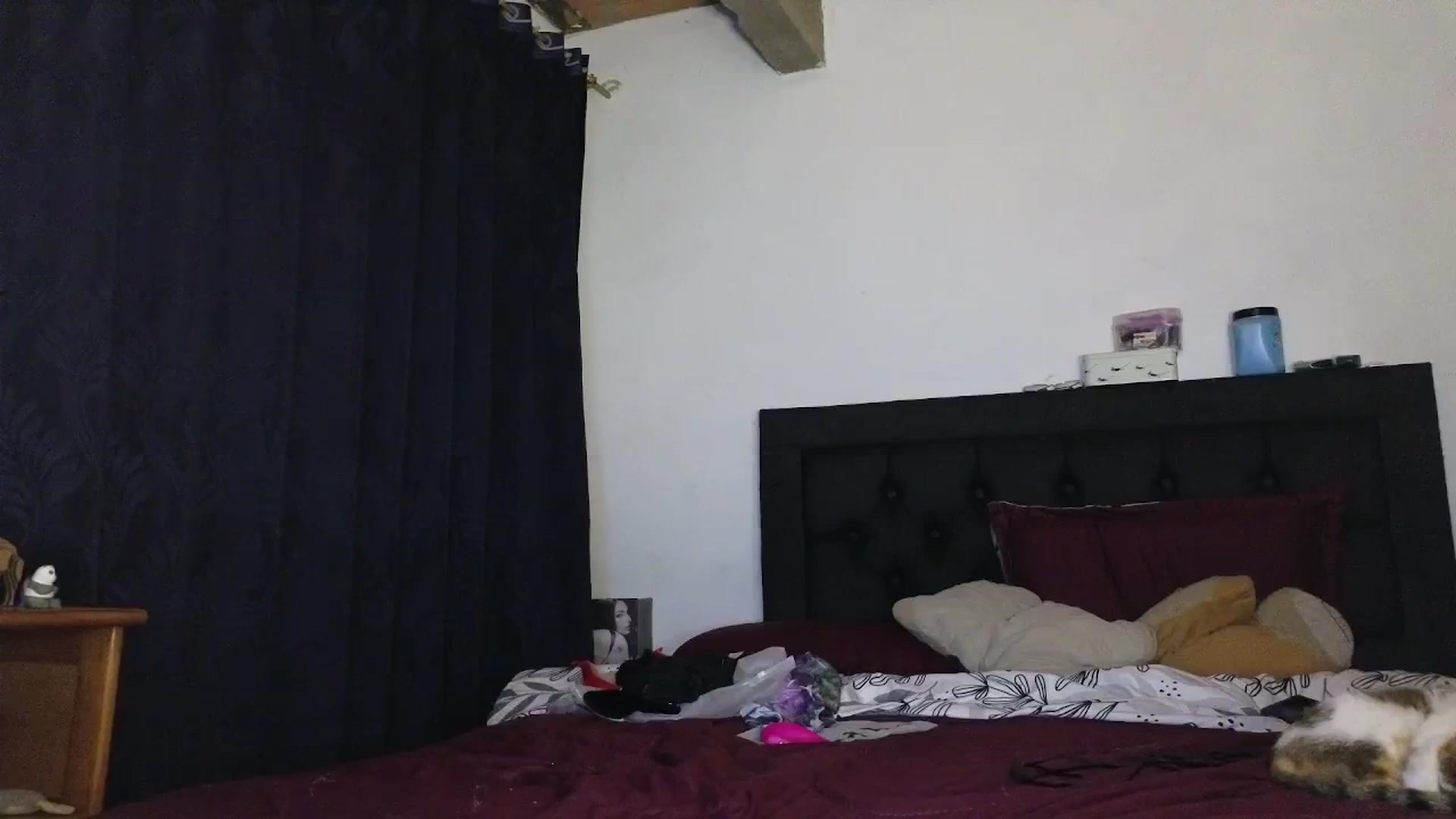 Gallery image thumbnail from Cofewithmilk's myfreecams stream on, 10/09/2025, 08:25 image 17 of 20
