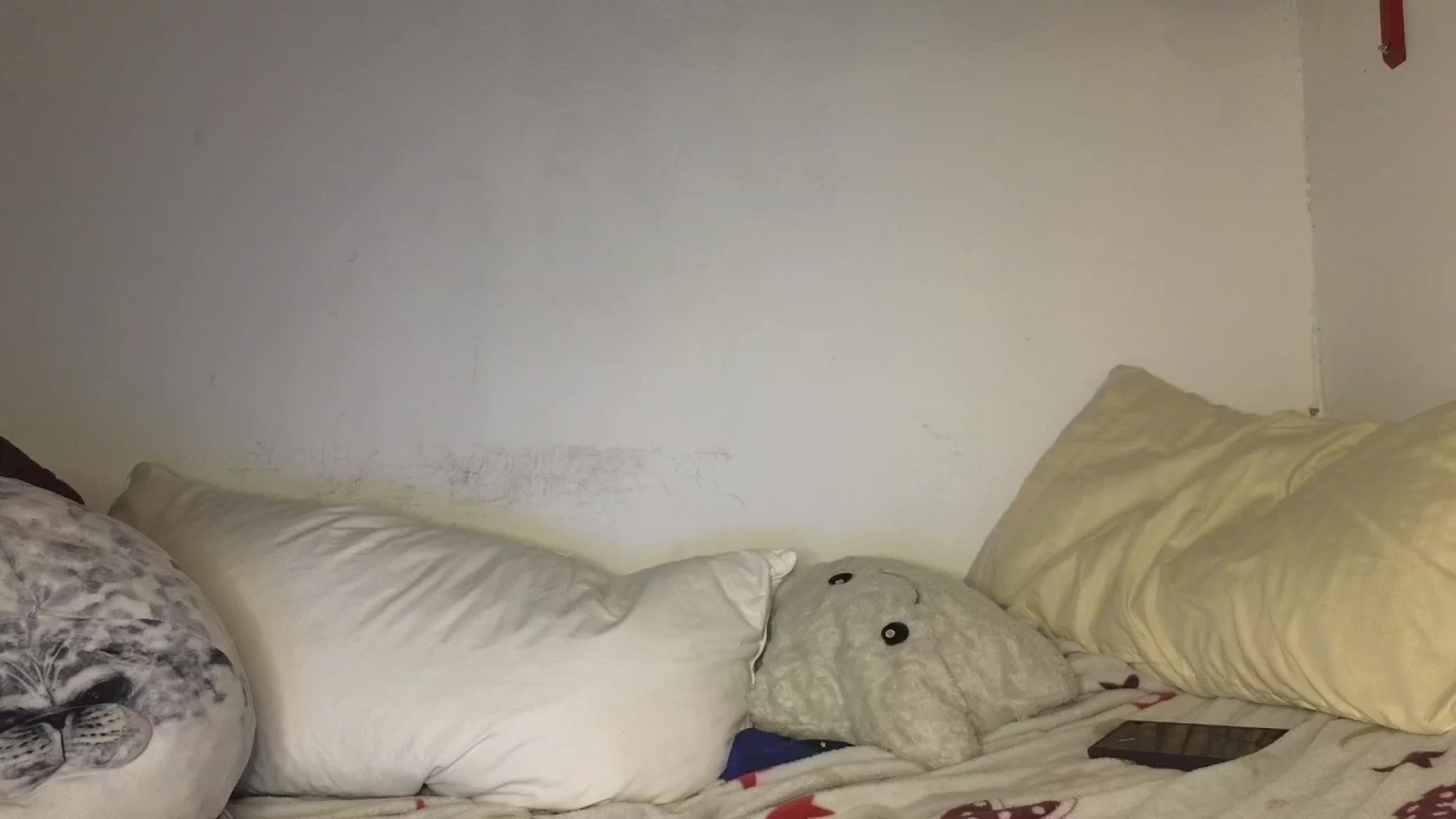 Gallery image thumbnail from Cofewithmilk's myfreecams stream on, 12/11/2025, 08:37 image 4 of 20