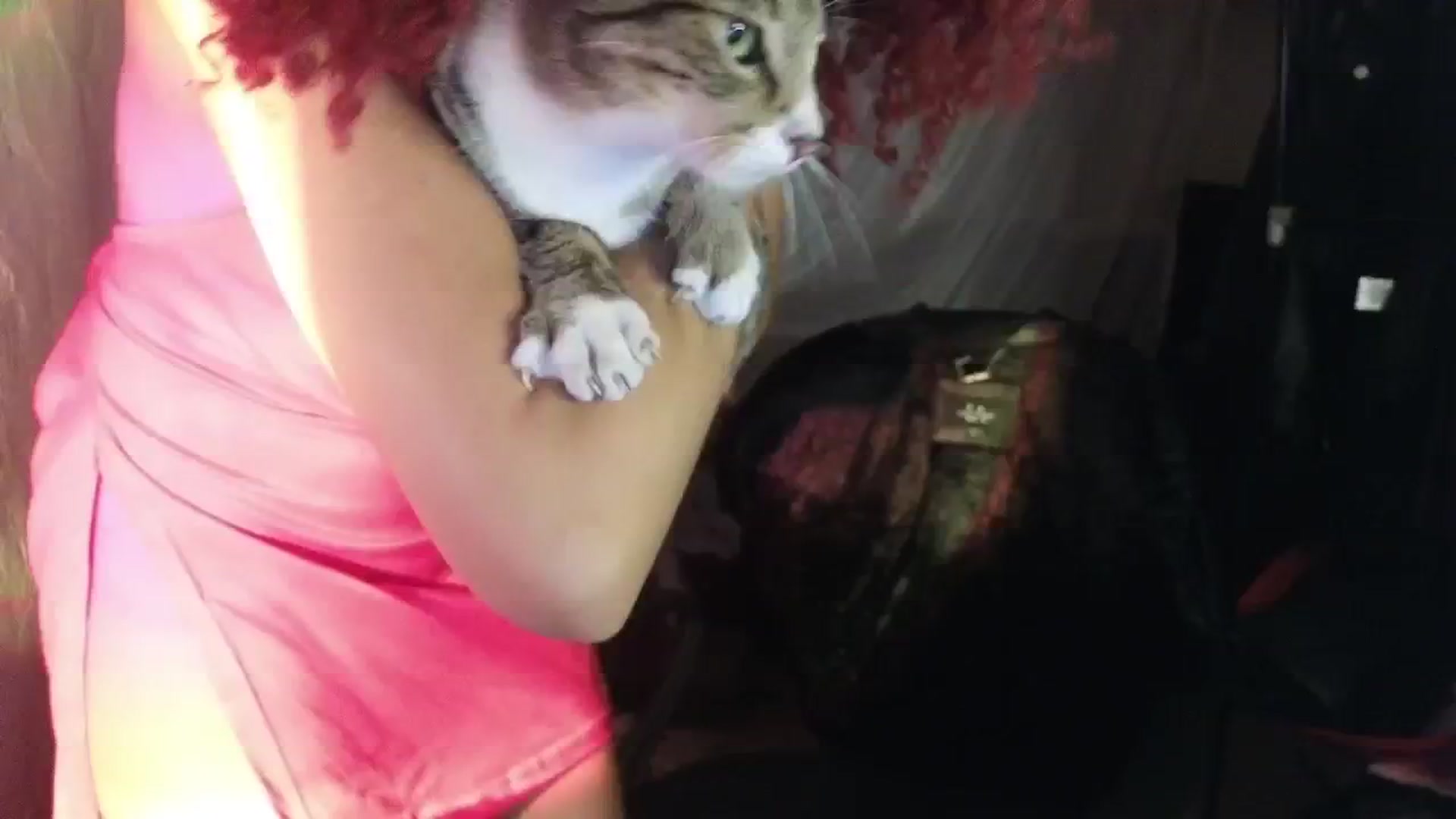 Gallery image thumbnail from Cofewithmilk's myfreecams stream on, 01/01/2026, 12:49 image 15 of 20