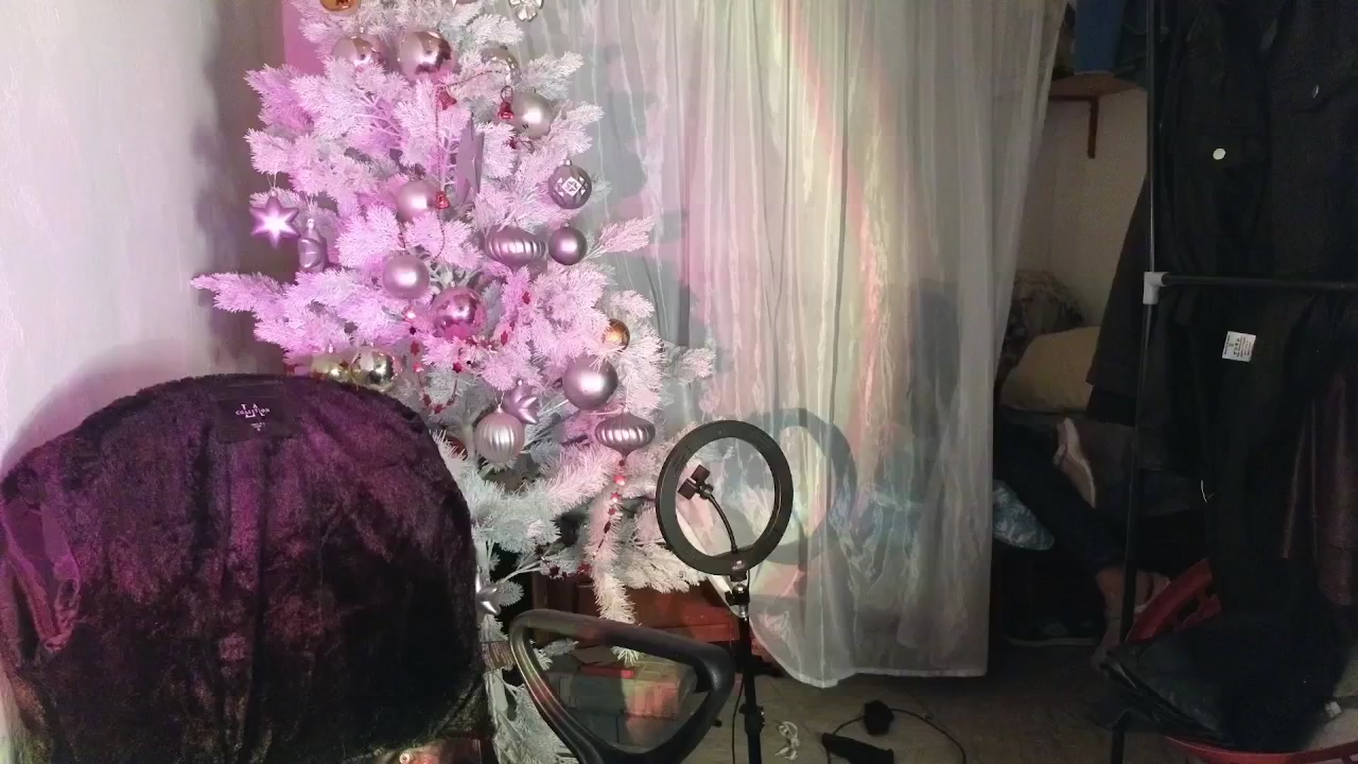 Gallery image thumbnail from Cofewithmilk's myfreecams stream on, 01/03/2026, 08:03 image 1 of 20