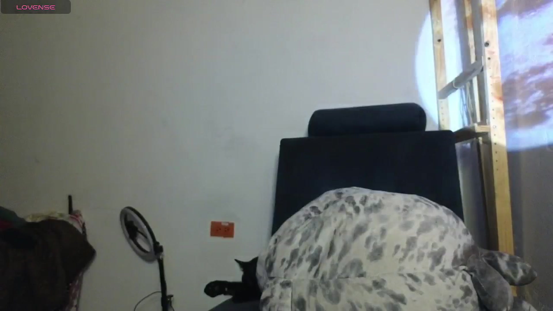 Gallery image thumbnail from Cofewithmilk's myfreecams stream on, 01/22/2026, 09:08 image 9 of 20