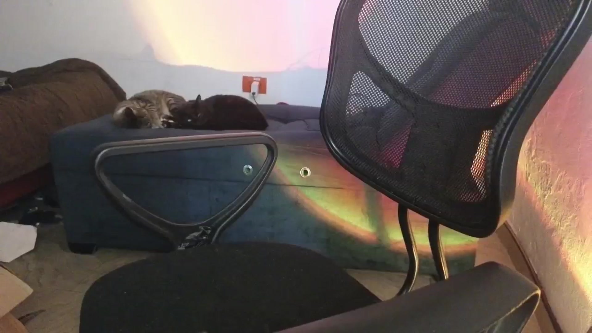 Gallery image thumbnail from Cofewithmilk's myfreecams stream on, 02/10/2026, 08:59 image 11 of 20
