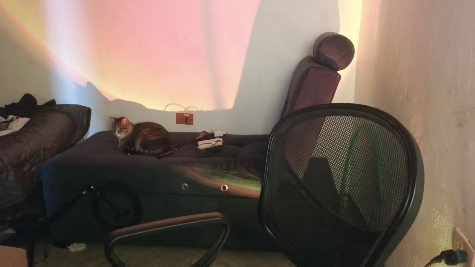 Gallery image thumbnail from Cofewithmilk's myfreecams stream on, 02/11/2026, 09:03 image 15 of 20