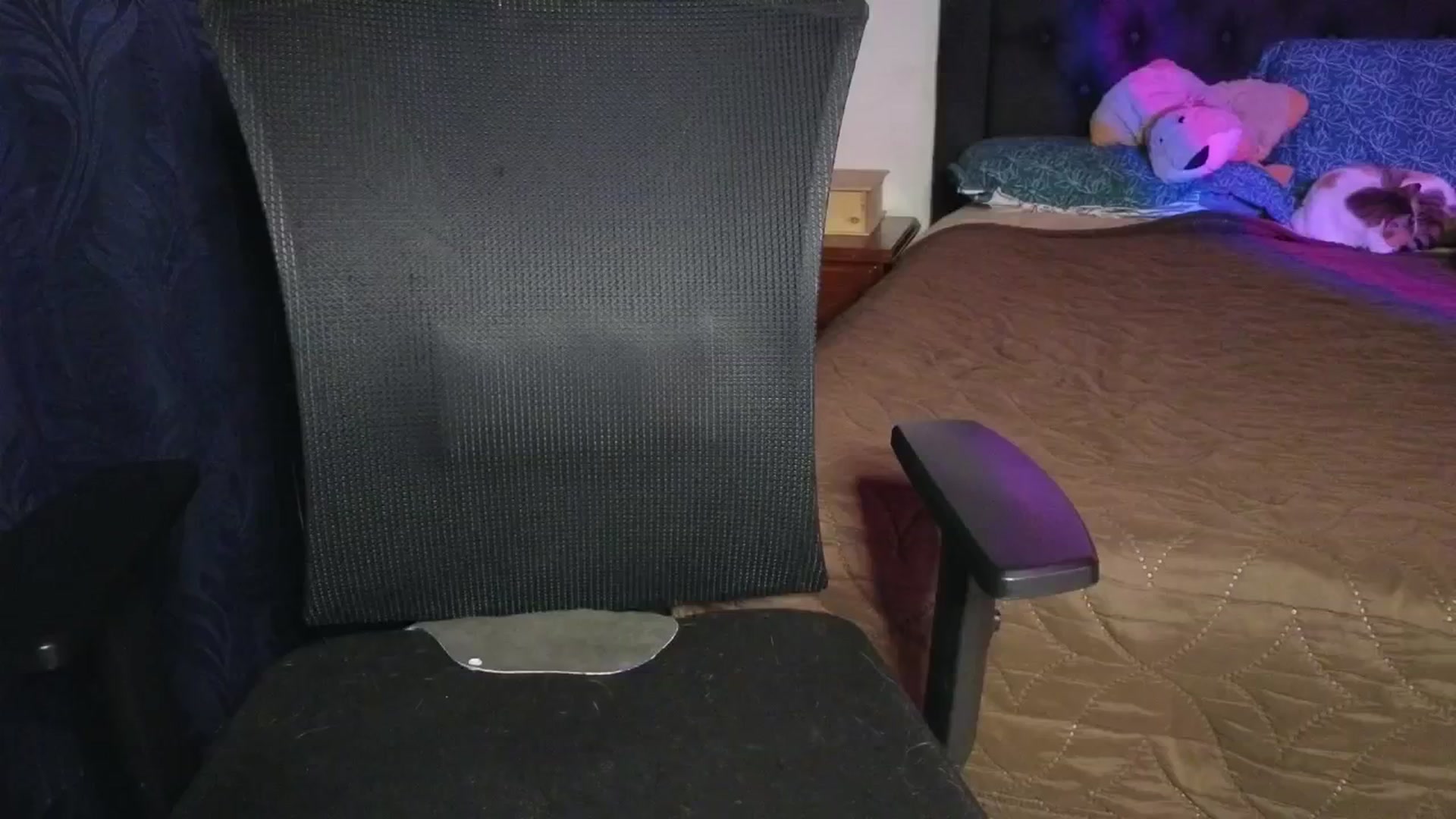 Gallery image thumbnail from Cofewithmilk's myfreecams stream on, 04/14/2026, 06:24 image 19 of 20