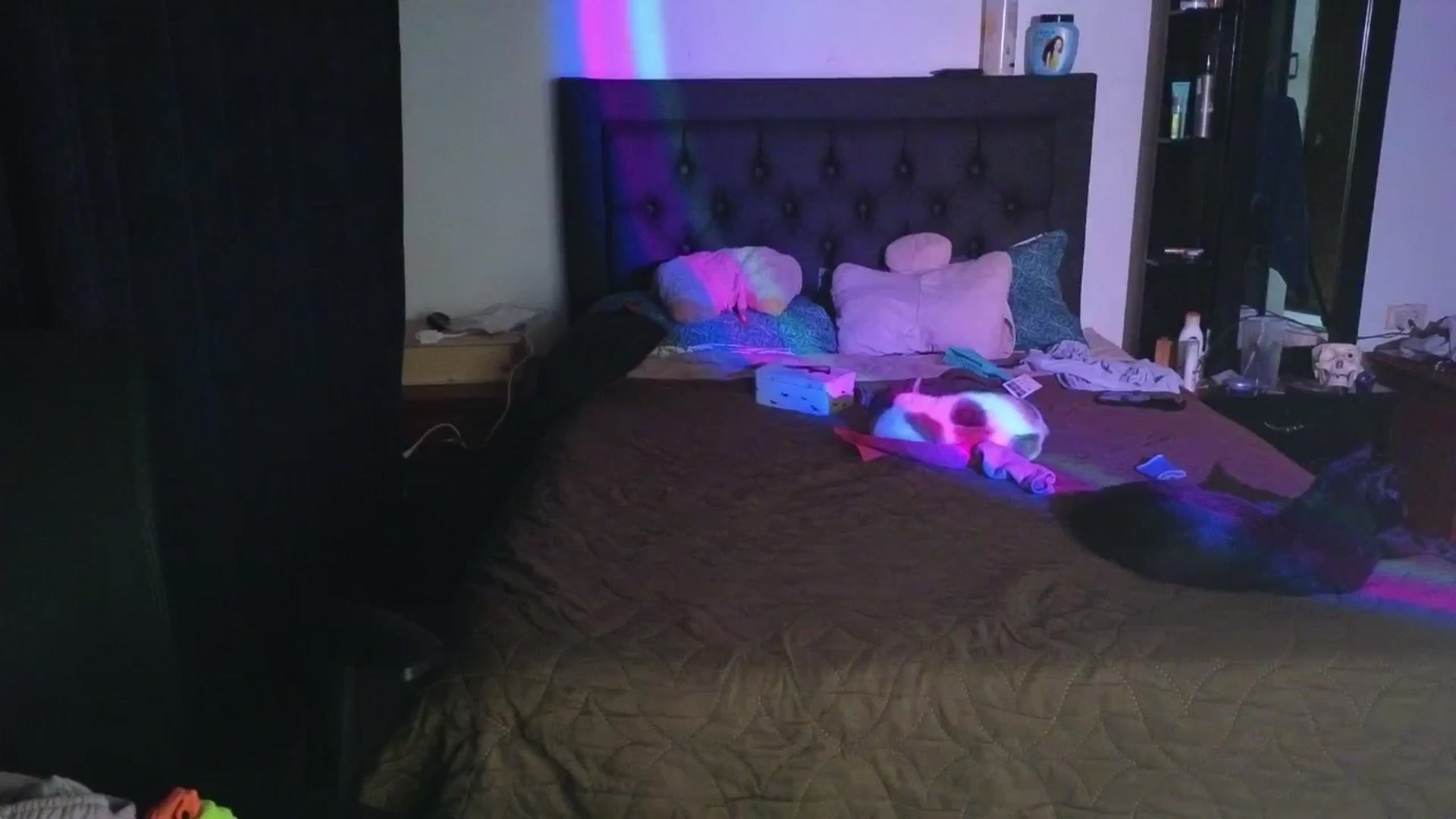 Gallery image thumbnail from Cofewithmilk's myfreecams stream on, 04/15/2026, 05:00 image 4 of 20