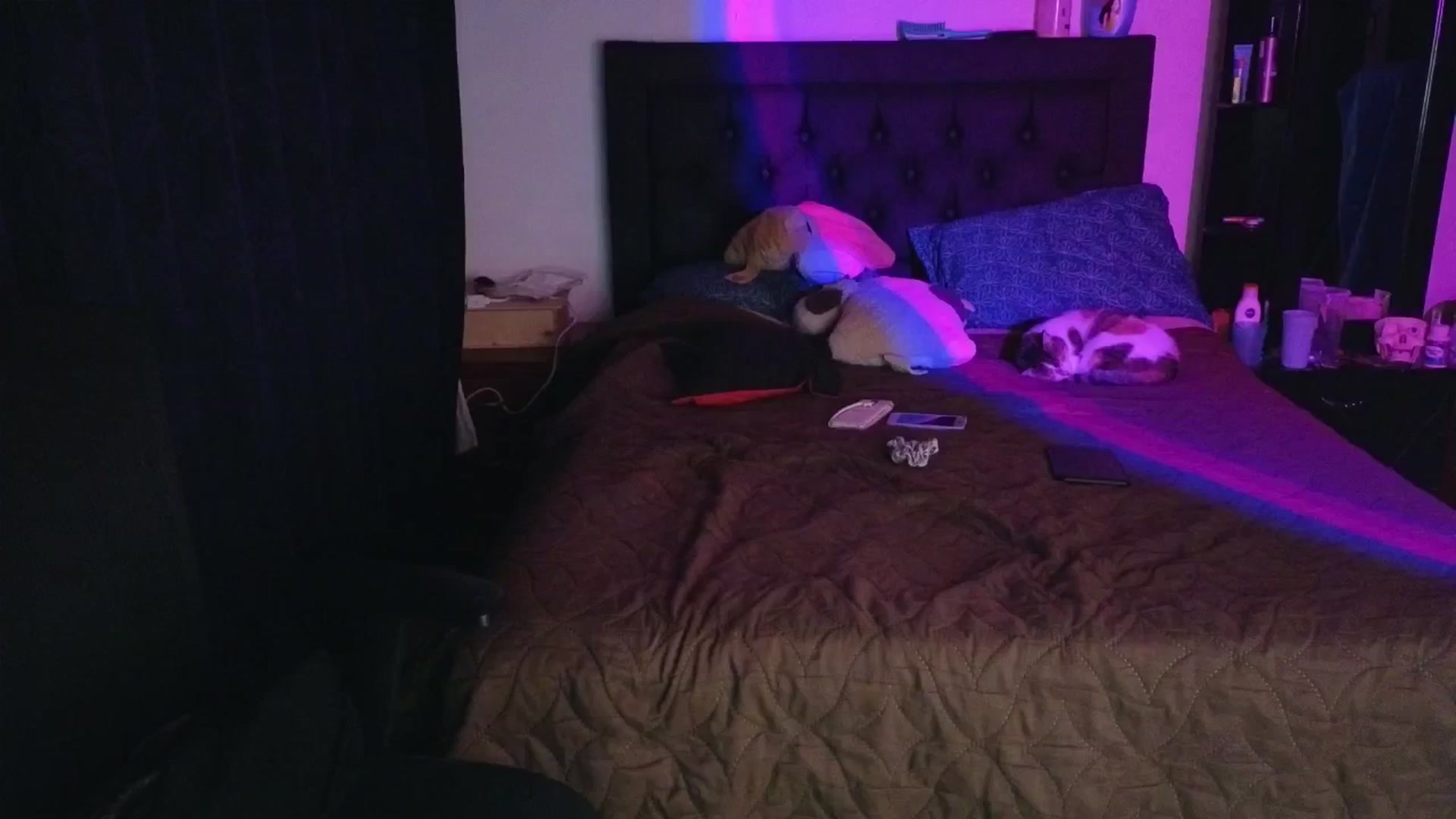 Gallery image thumbnail from Cofewithmilk's myfreecams stream on, 04/16/2026, 06:22 image 12 of 20
