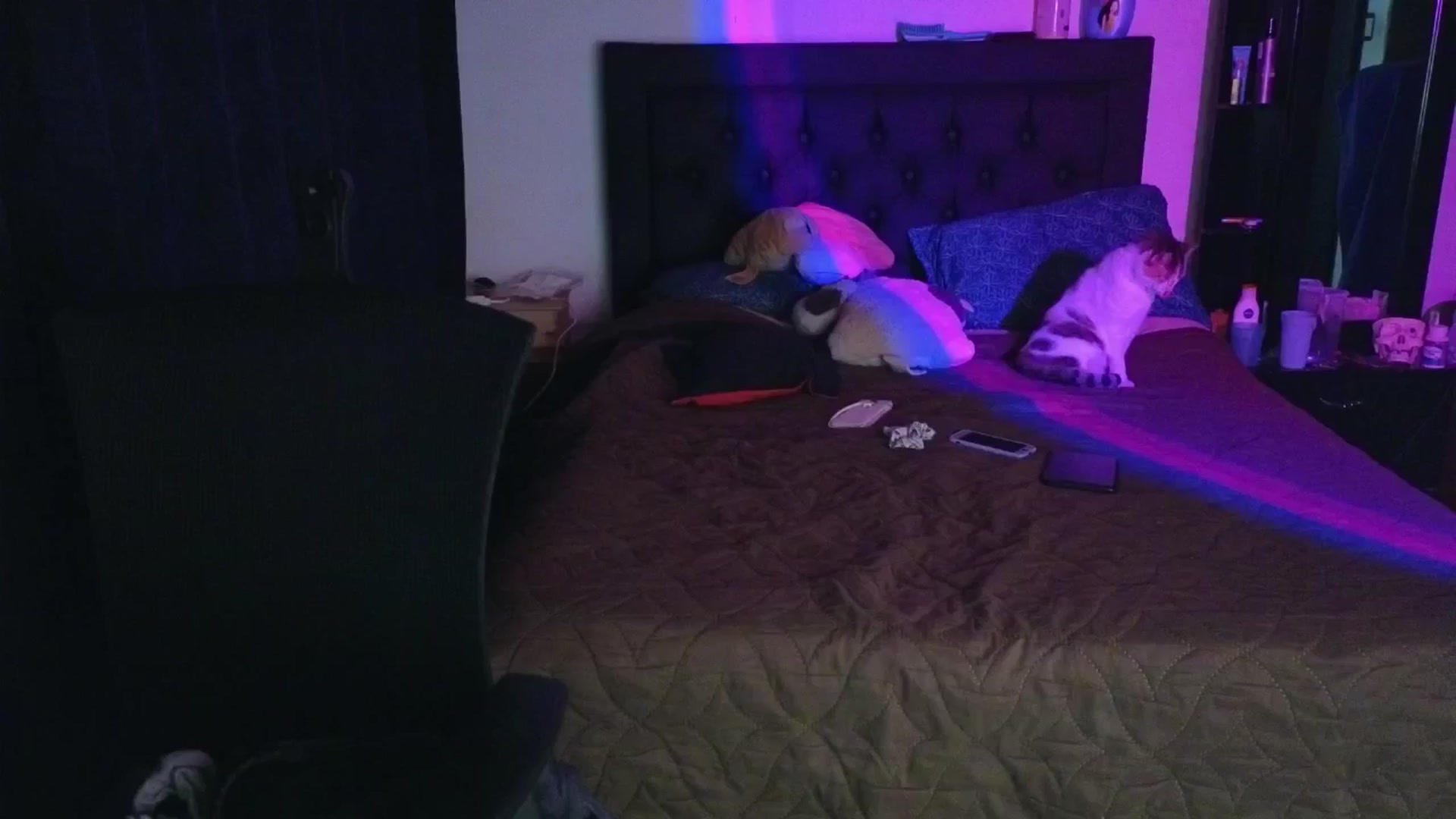 Gallery image thumbnail from Cofewithmilk's myfreecams stream on, 04/16/2026, 06:22 image 3 of 20