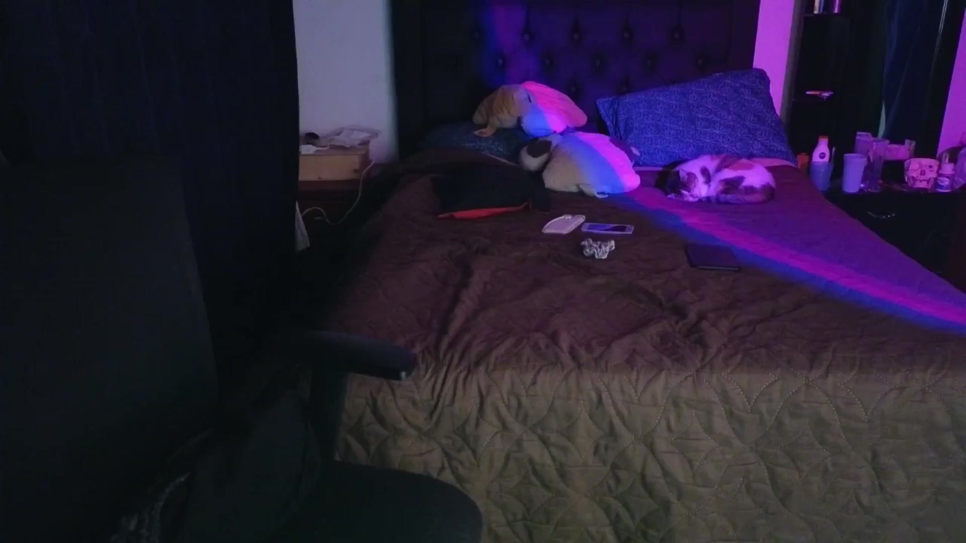 Gallery image thumbnail from Cofewithmilk's myfreecams stream on, 04/16/2026, 06:22 image 16 of 20
