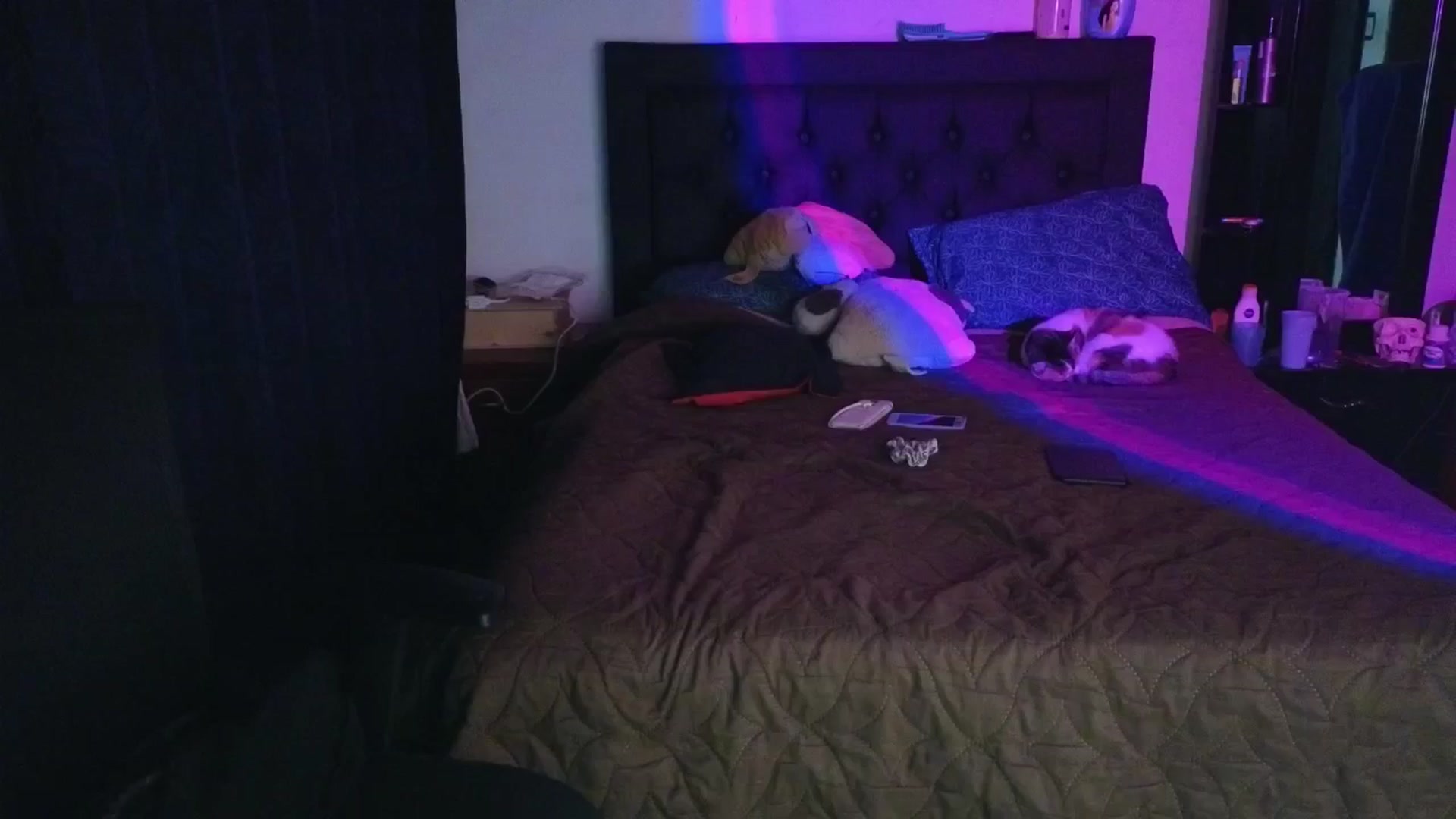 Gallery image thumbnail from Cofewithmilk's myfreecams stream on, 04/16/2026, 06:22 image 10 of 20