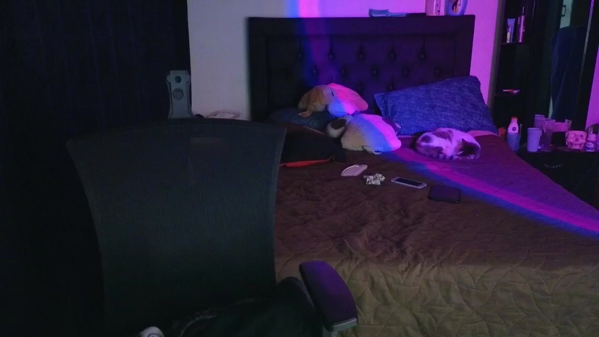 Gallery image thumbnail from Cofewithmilk's myfreecams stream on, 04/16/2026, 06:22 image 1 of 20
