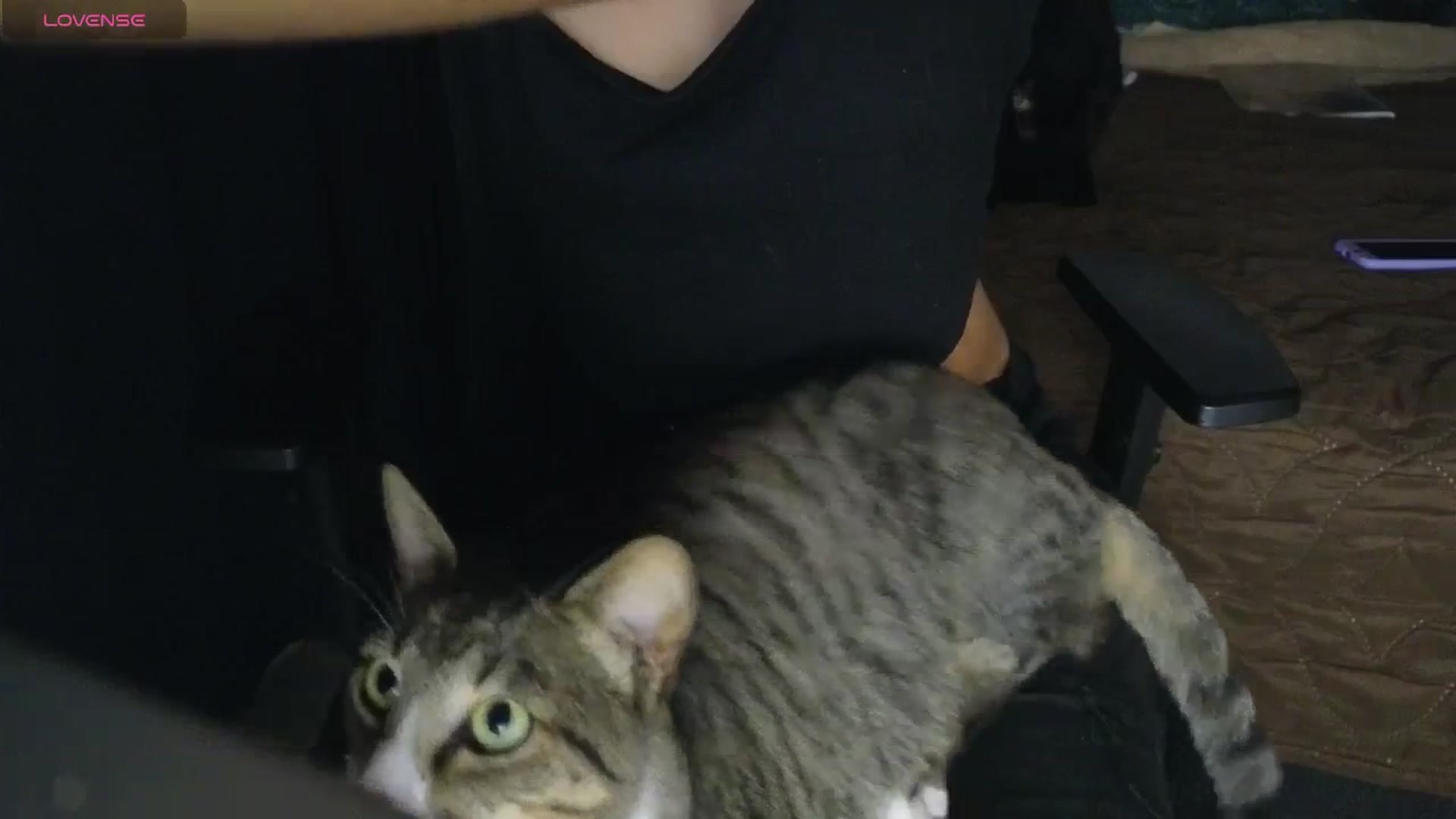 Gallery image thumbnail from Cofewithmilk's myfreecams stream on, 04/30/2026, 07:56 image 13 of 20