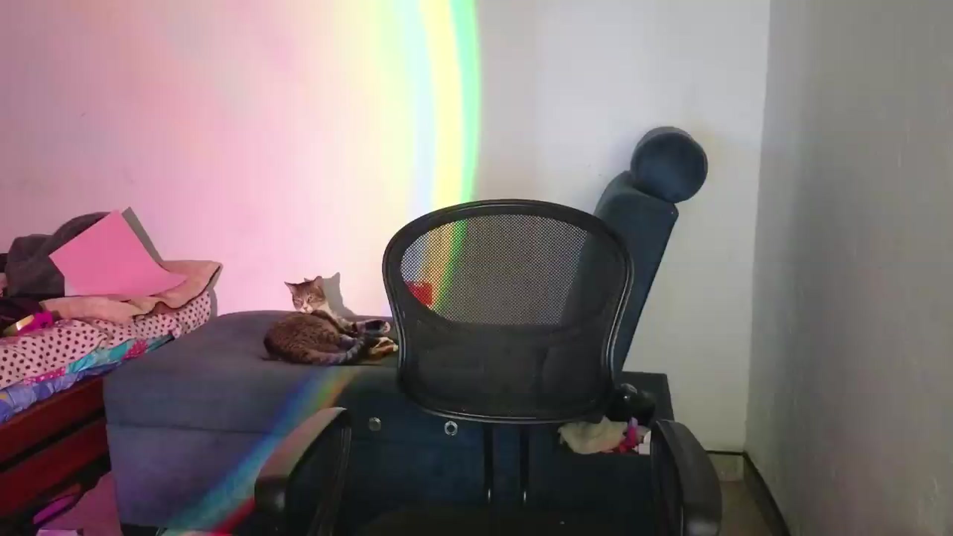 Gallery image thumbnail from Cofewithmilk's myfreecams stream on, 05/29/2026, 12:28 image 6 of 20