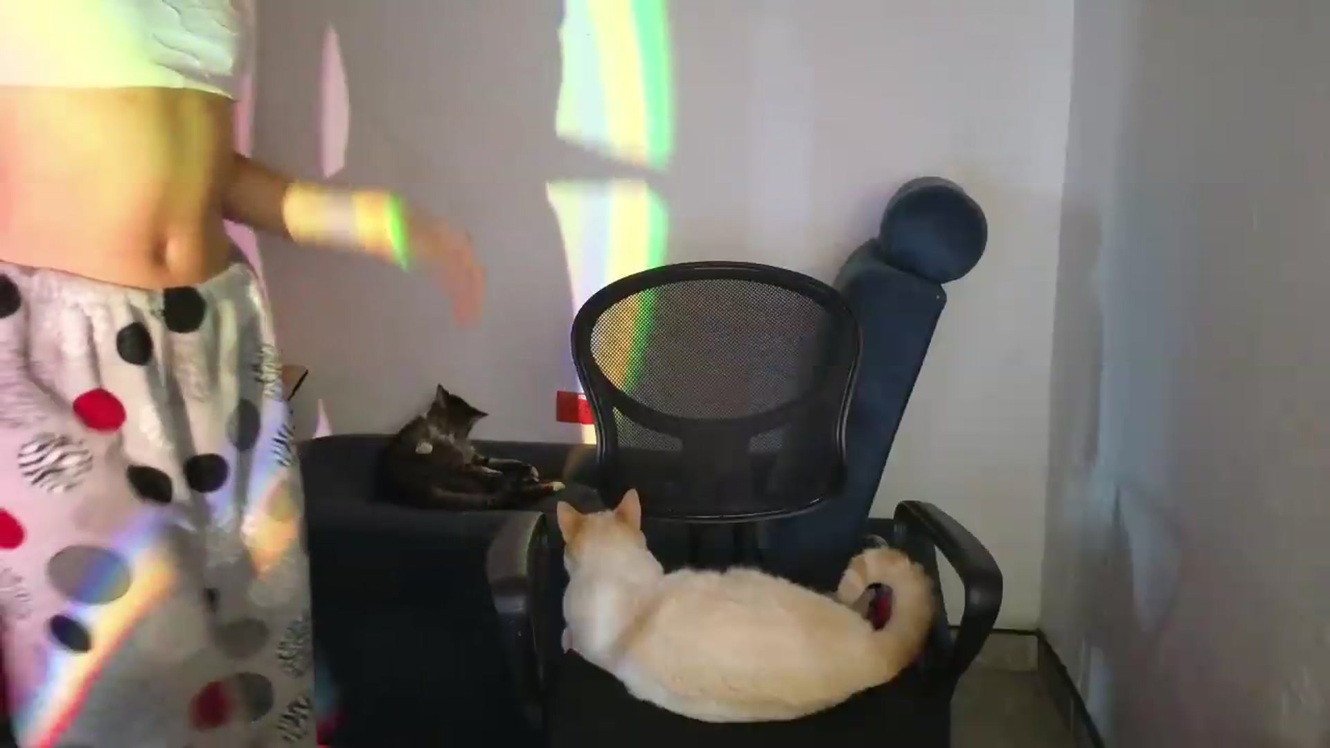 Gallery image thumbnail from Cofewithmilk's myfreecams stream on, 05/29/2026, 12:28 image 9 of 20