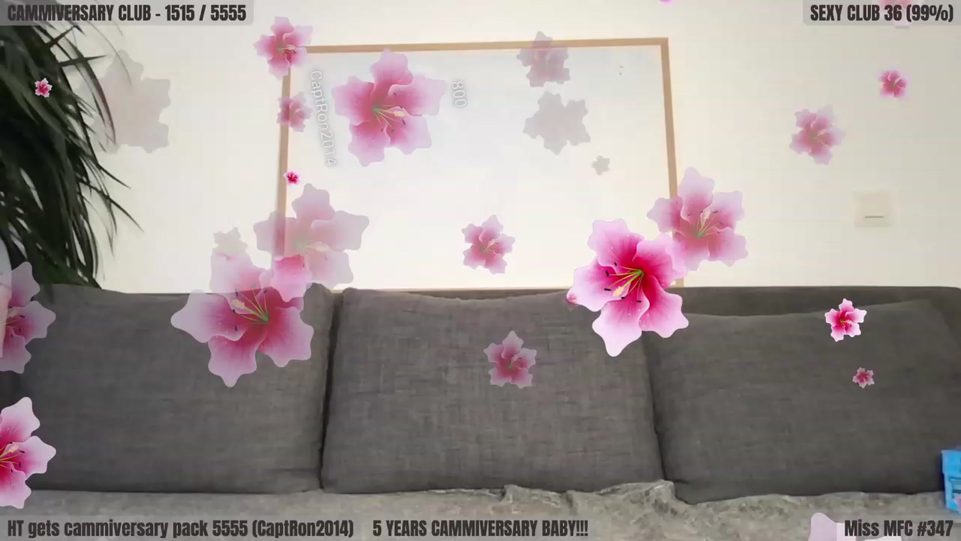 Gallery image thumbnail from Coffeeplease's myfreecams stream on, 11/19/2023, 23:35 image 16 of 20