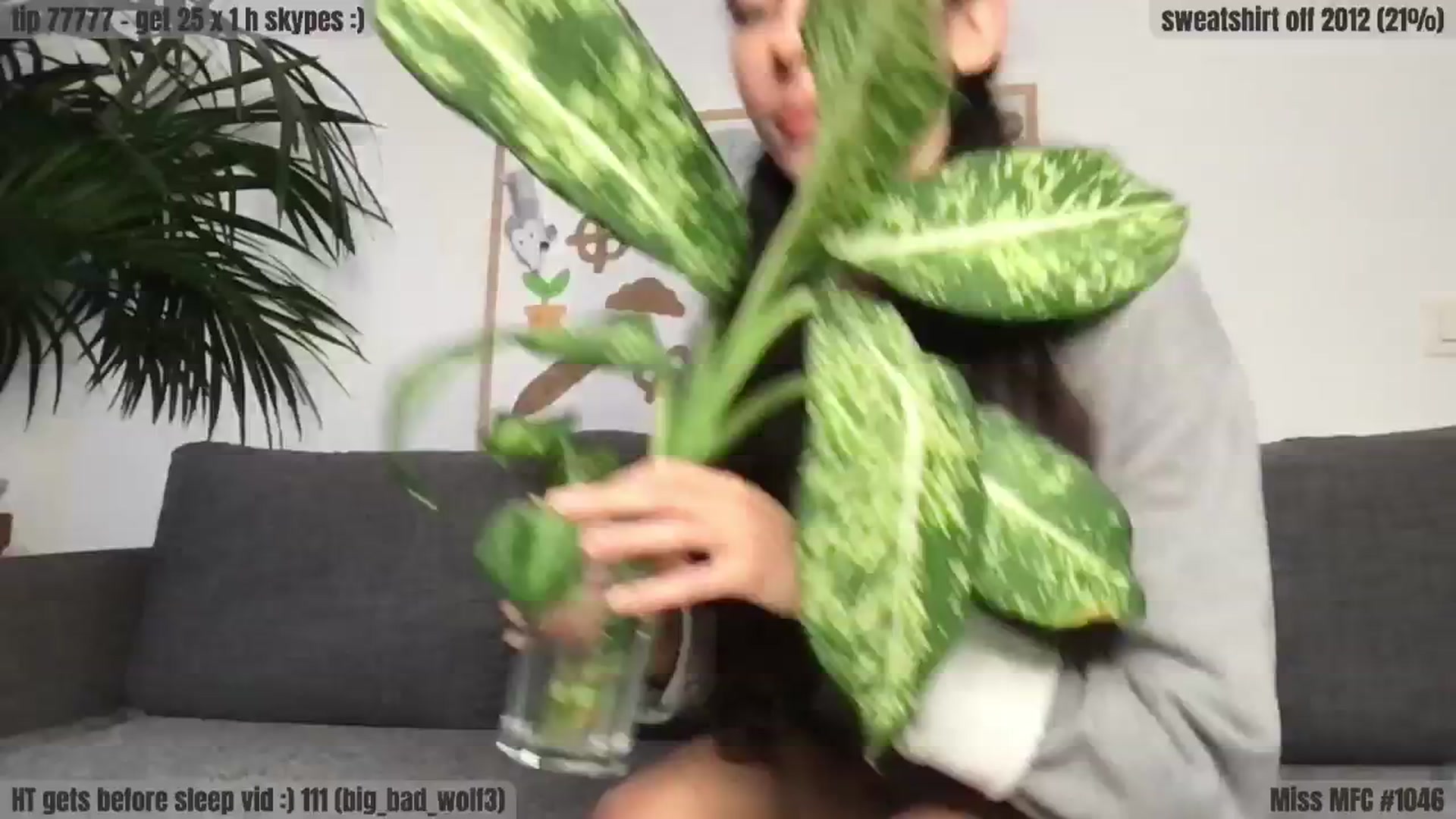 Gallery image thumbnail from Coffeeplease's myfreecams stream on, 04/21/2024, 18:05 image 15 of 20