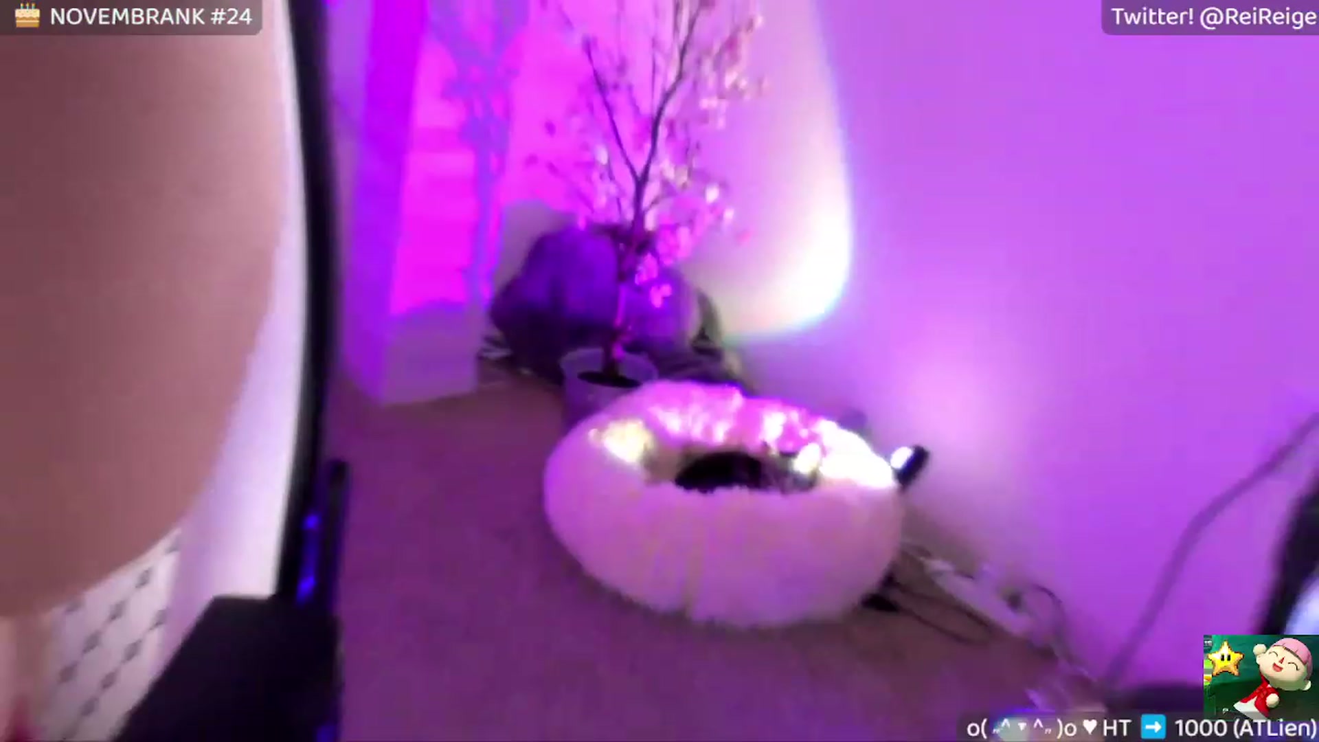 Gallery image thumbnail from CondomReige's myfreecams stream on, 11/18/2022, 12:06 image 5 of 20