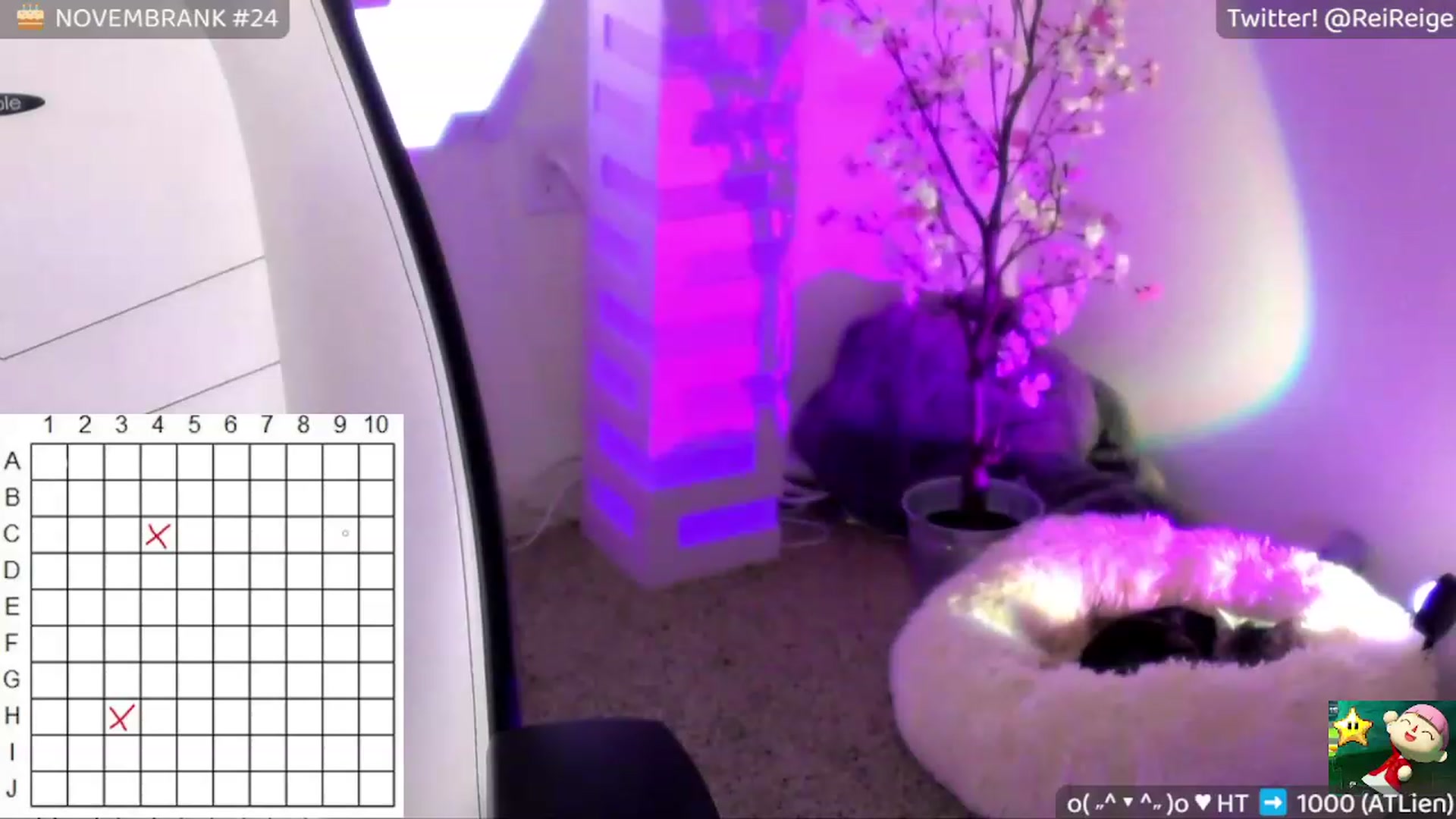Gallery image thumbnail from CondomReige's myfreecams stream on, 11/18/2022, 12:06 image 4 of 20