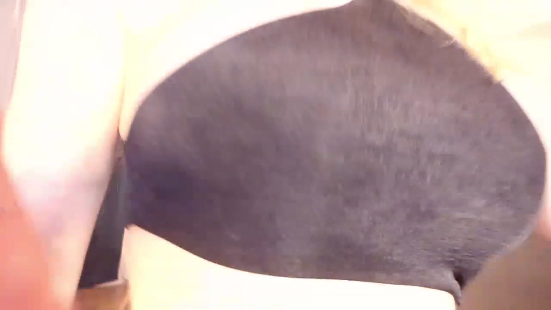 Gallery image thumbnail from CoolElissa's myfreecams stream on, 01/27/2023, 03:09 image 12 of 20