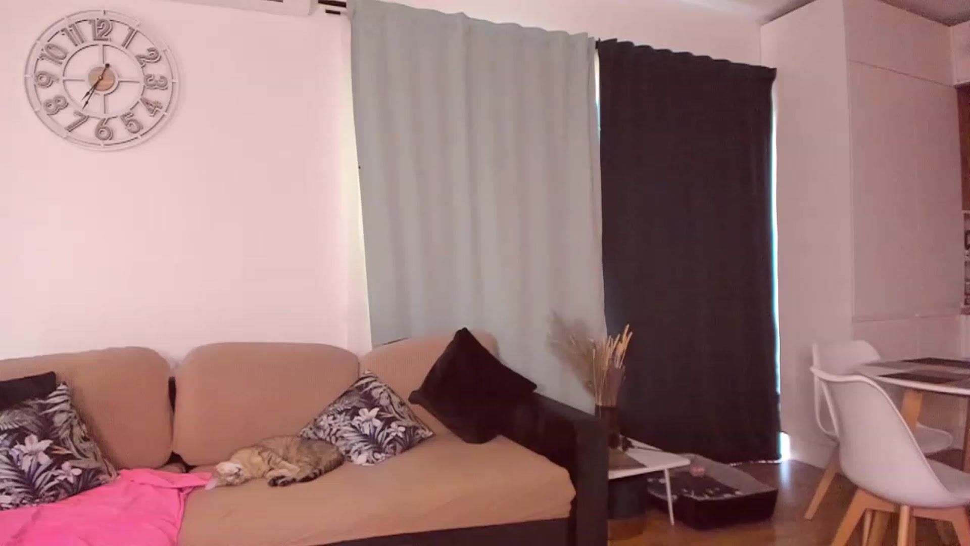 Gallery image thumbnail from CoolElissa's myfreecams stream on, 05/20/2023, 05:24 image 6 of 20