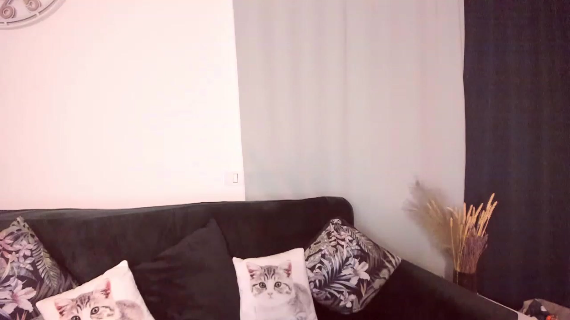 Gallery image thumbnail from CoolElissa's myfreecams stream on, 05/29/2023, 03:44 image 17 of 20