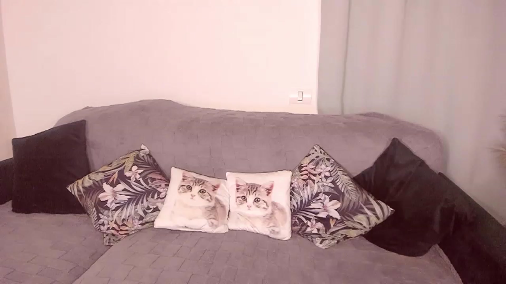 Gallery image thumbnail from CoolElissa's myfreecams stream on, 06/23/2023, 03:53 image 14 of 20