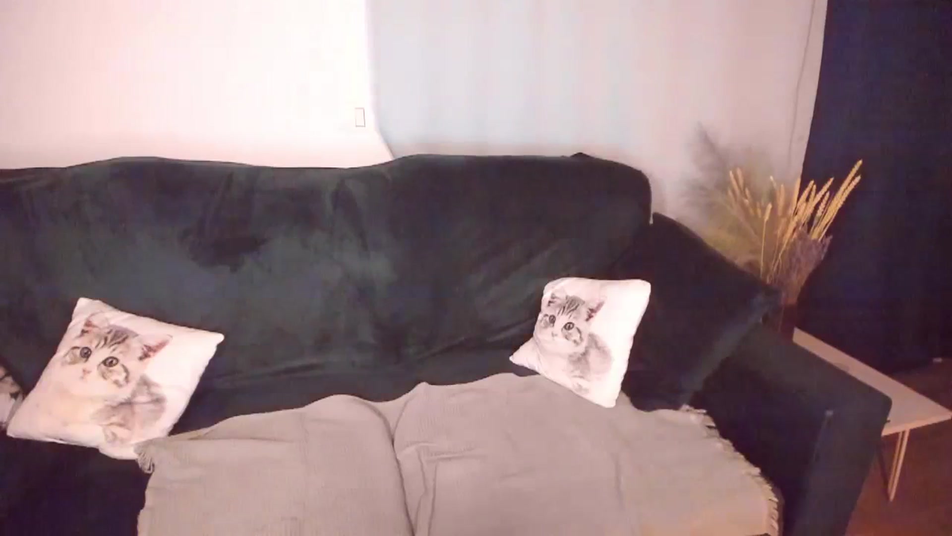 Gallery image thumbnail from CoolElissa's myfreecams stream on, 09/23/2023, 06:08 image 2 of 20