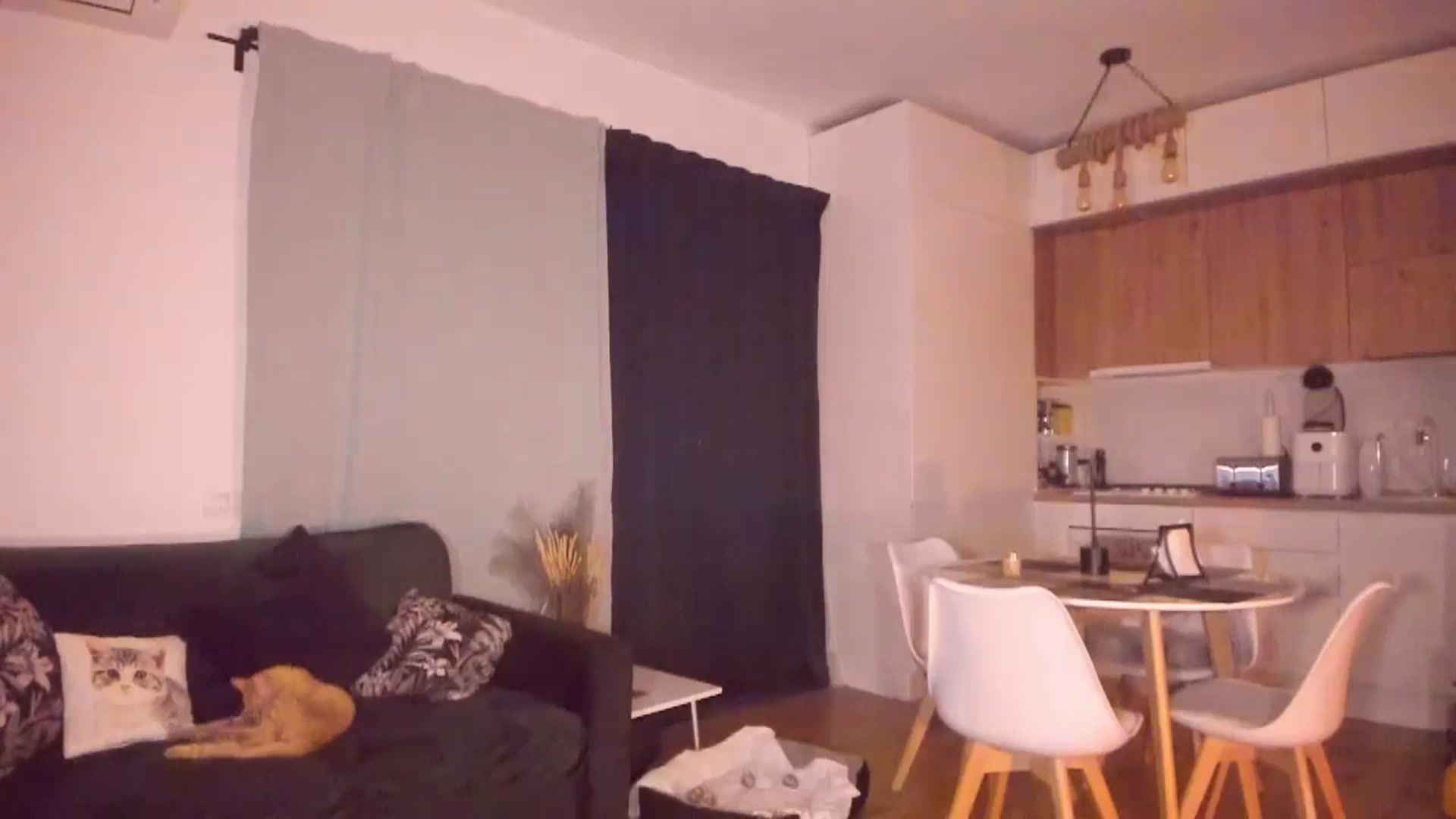 Gallery image thumbnail from CoolElissa's myfreecams stream on, 10/23/2023, 24:23 image 12 of 20