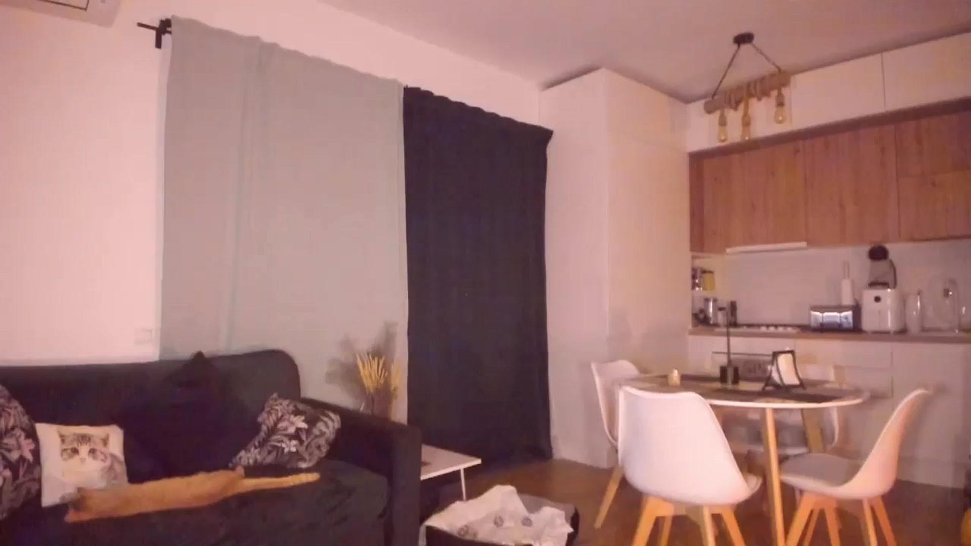 Gallery image thumbnail from CoolElissa's myfreecams stream on, 10/23/2023, 24:23 image 15 of 20
