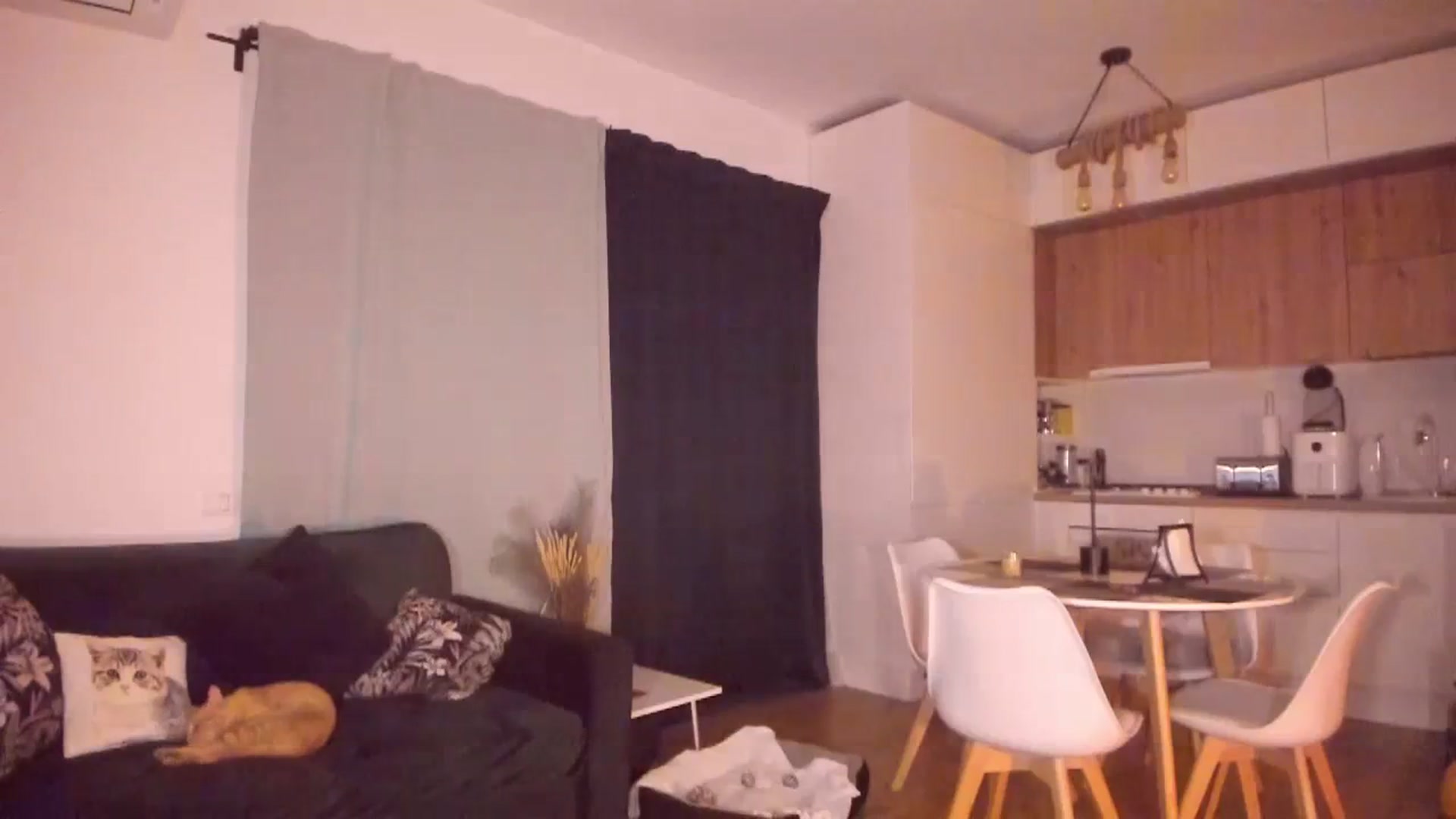 Gallery image thumbnail from CoolElissa's myfreecams stream on, 10/23/2023, 24:23 image 11 of 20