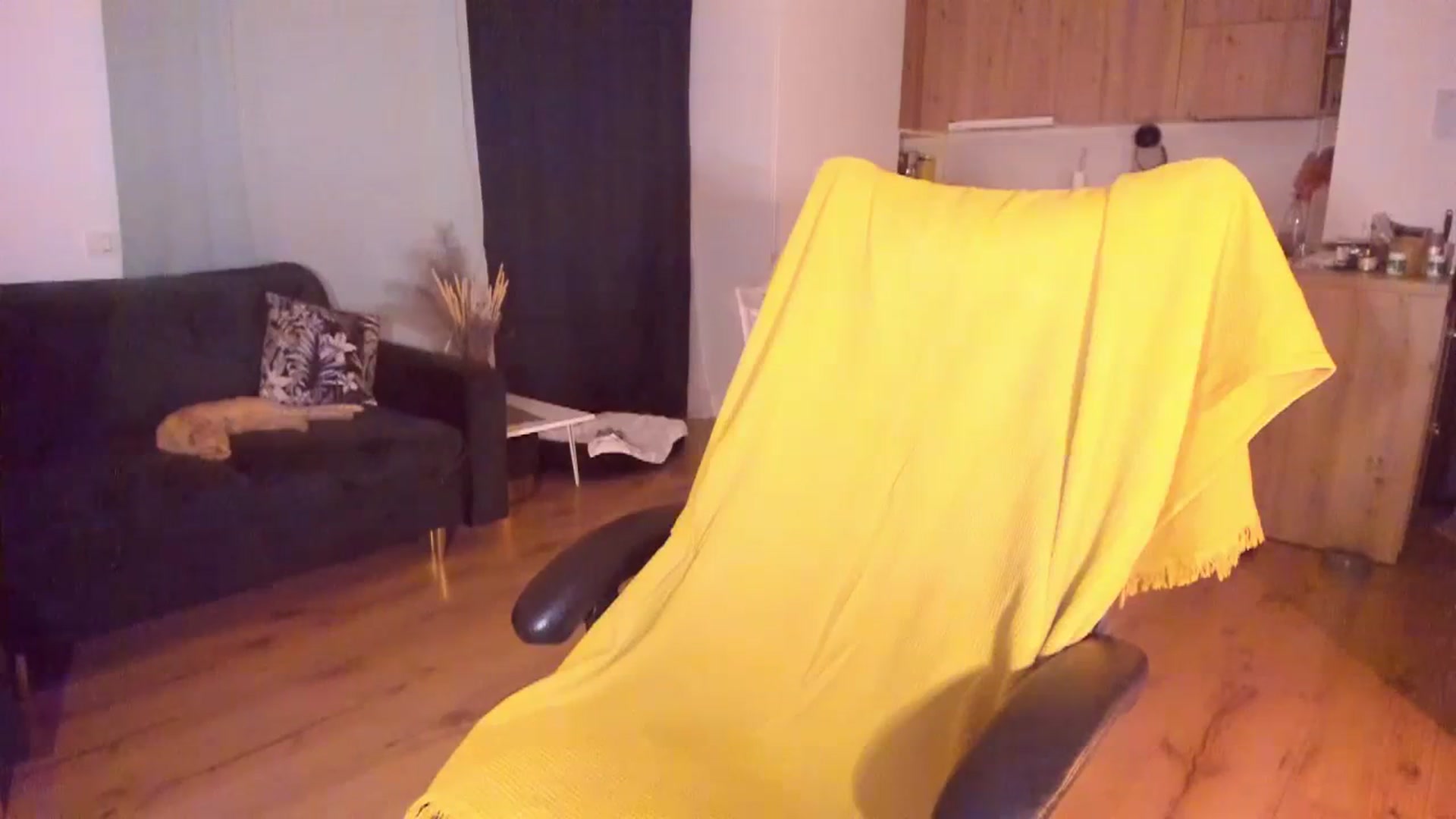 Gallery image thumbnail from CoolElissa's myfreecams stream on, 10/24/2023, 01:54 image 20 of 20