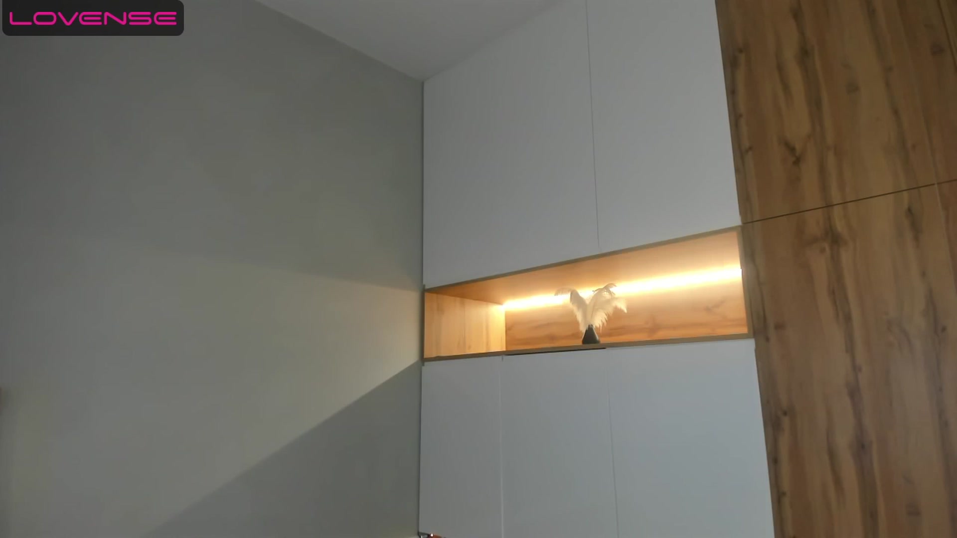 Gallery image thumbnail from CoolK_'s myfreecams stream on, 07/05/2023, 20:18 image 6 of 20