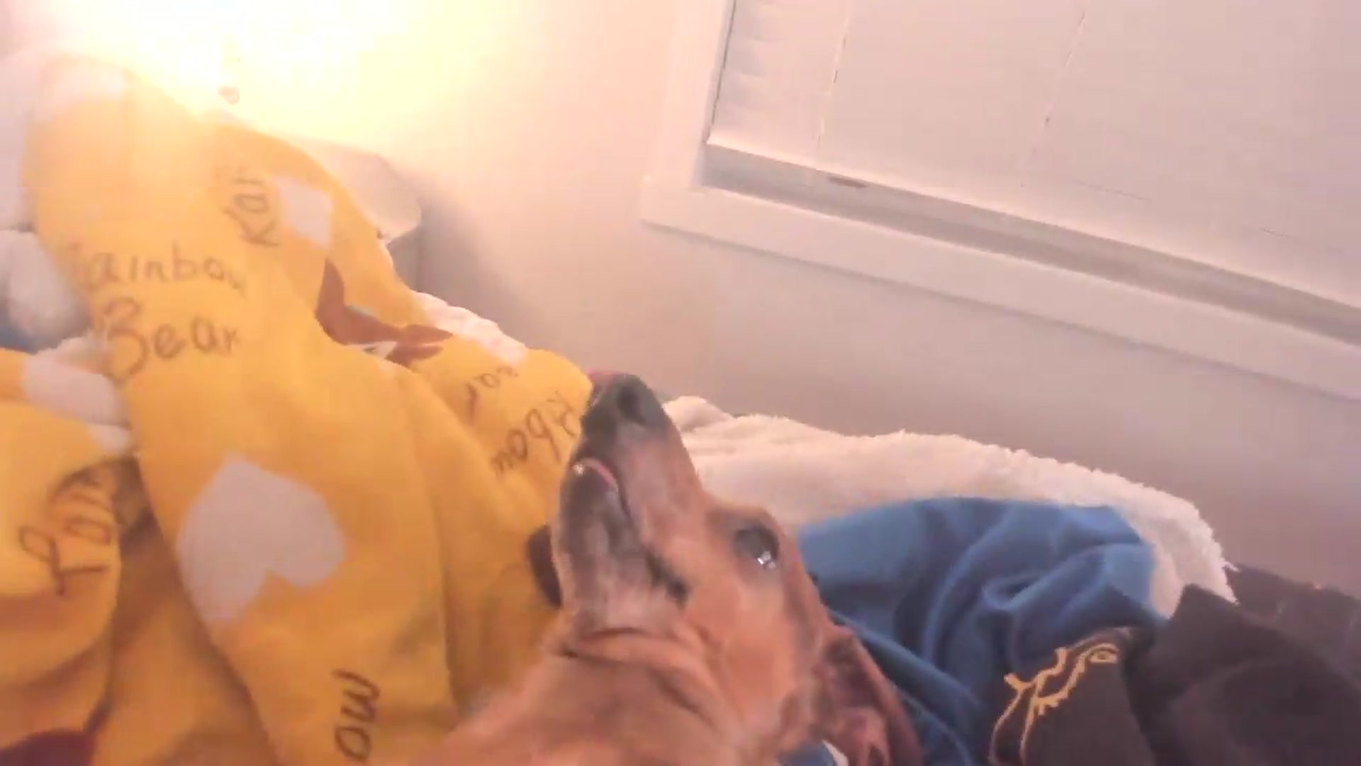 Gallery image thumbnail from CoralOrgy's myfreecams stream on, 07/19/2026, 11:11 image 11 of 20