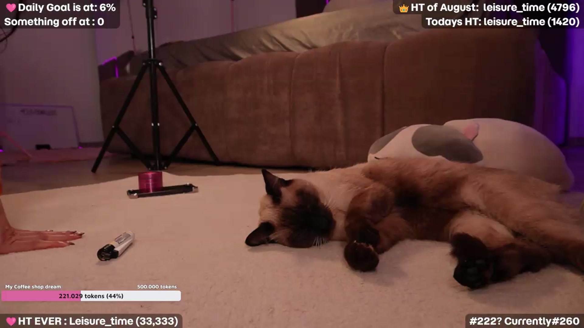 Gallery image thumbnail from Coralita's myfreecams stream on, 08/29/2026, 01:07 image 20 of 20