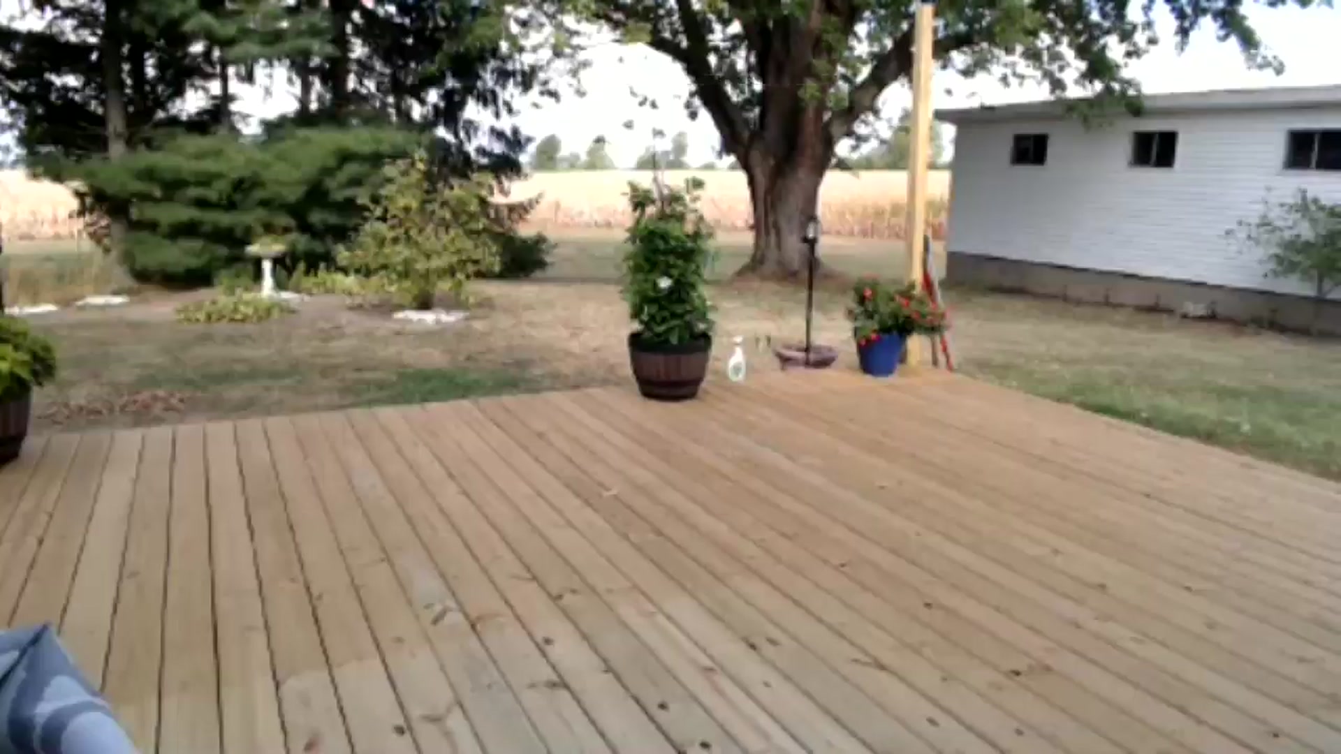 Gallery image thumbnail from Corn_Queen's myfreecams stream on, 09/06/2024, 13:52 image 15 of 20