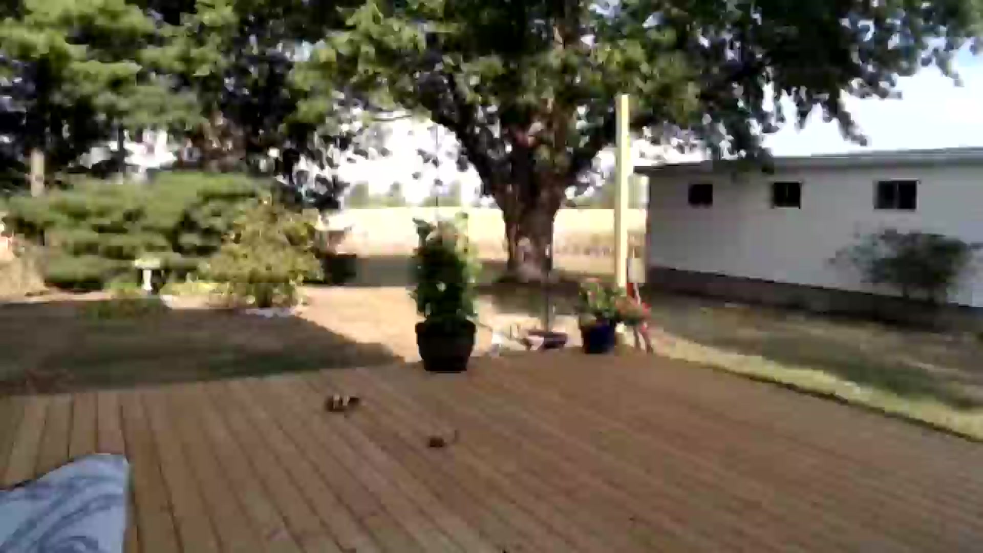 Gallery image thumbnail from Corn_Queen's myfreecams stream on, 09/06/2024, 13:52 image 5 of 20